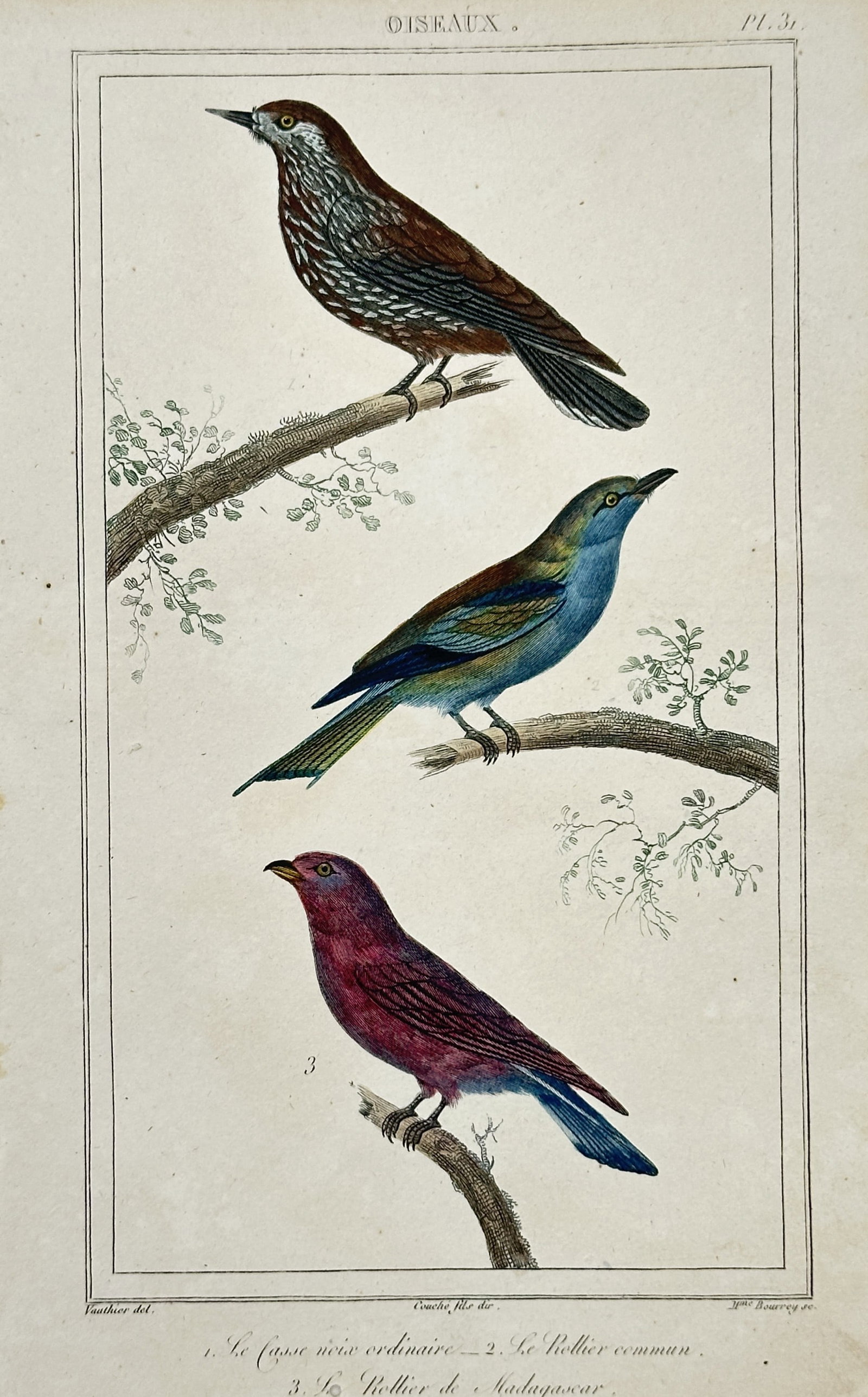 Antoine-Charles Vauthier – View of a Nutcracker and Rollers – Hand-coloured engraving (1830) (1 of 2)