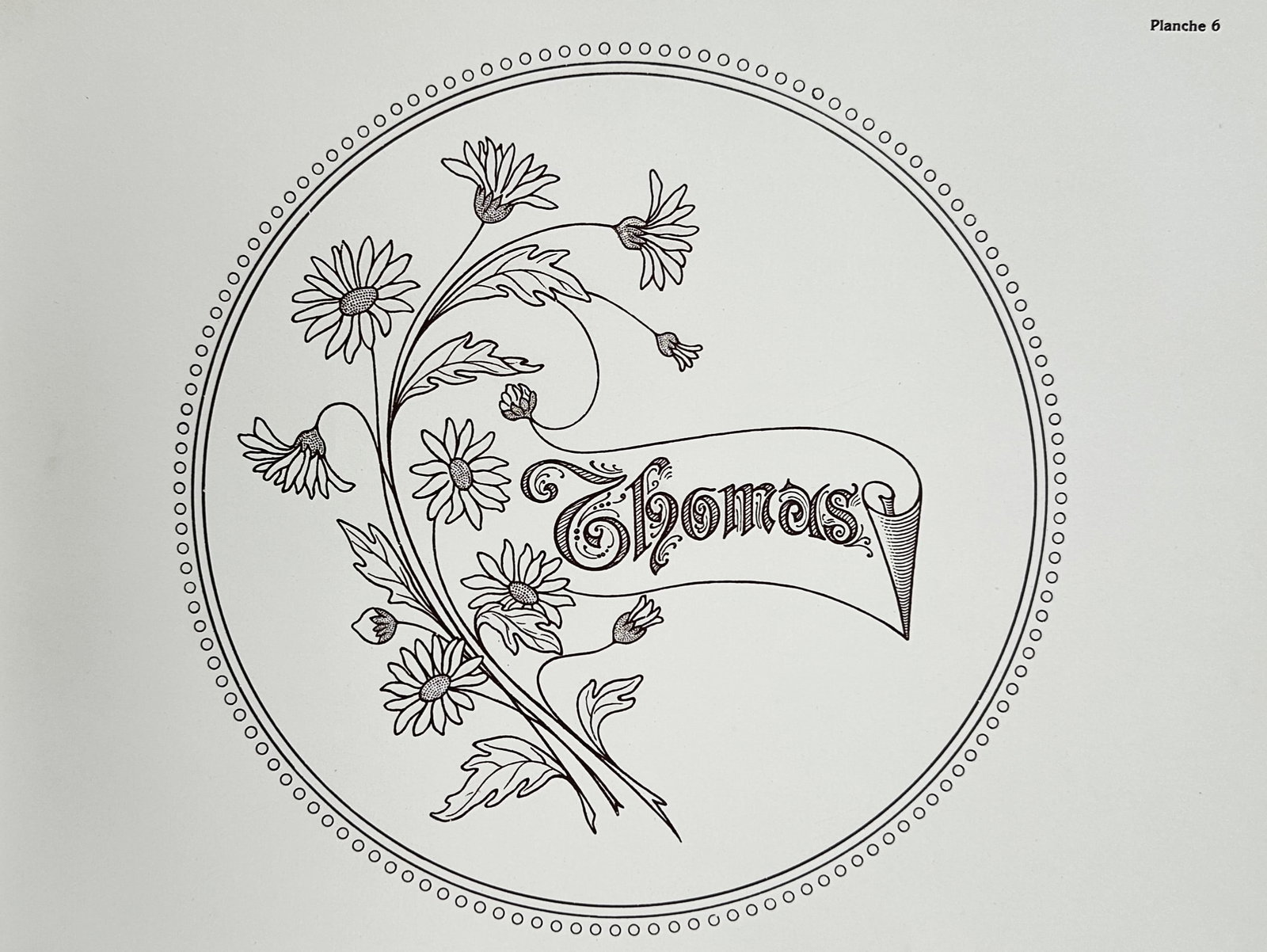 Auguste H. Thomas (19th Century) – View of a Floral Monogram for Thomas – Lithograph: "Thomas" portrays a decorative monogram design featuring the name Thomas inscribed upon a flowing banner, surrounded by a delicate arrangement of daisies. The composition is enclosed within a circular