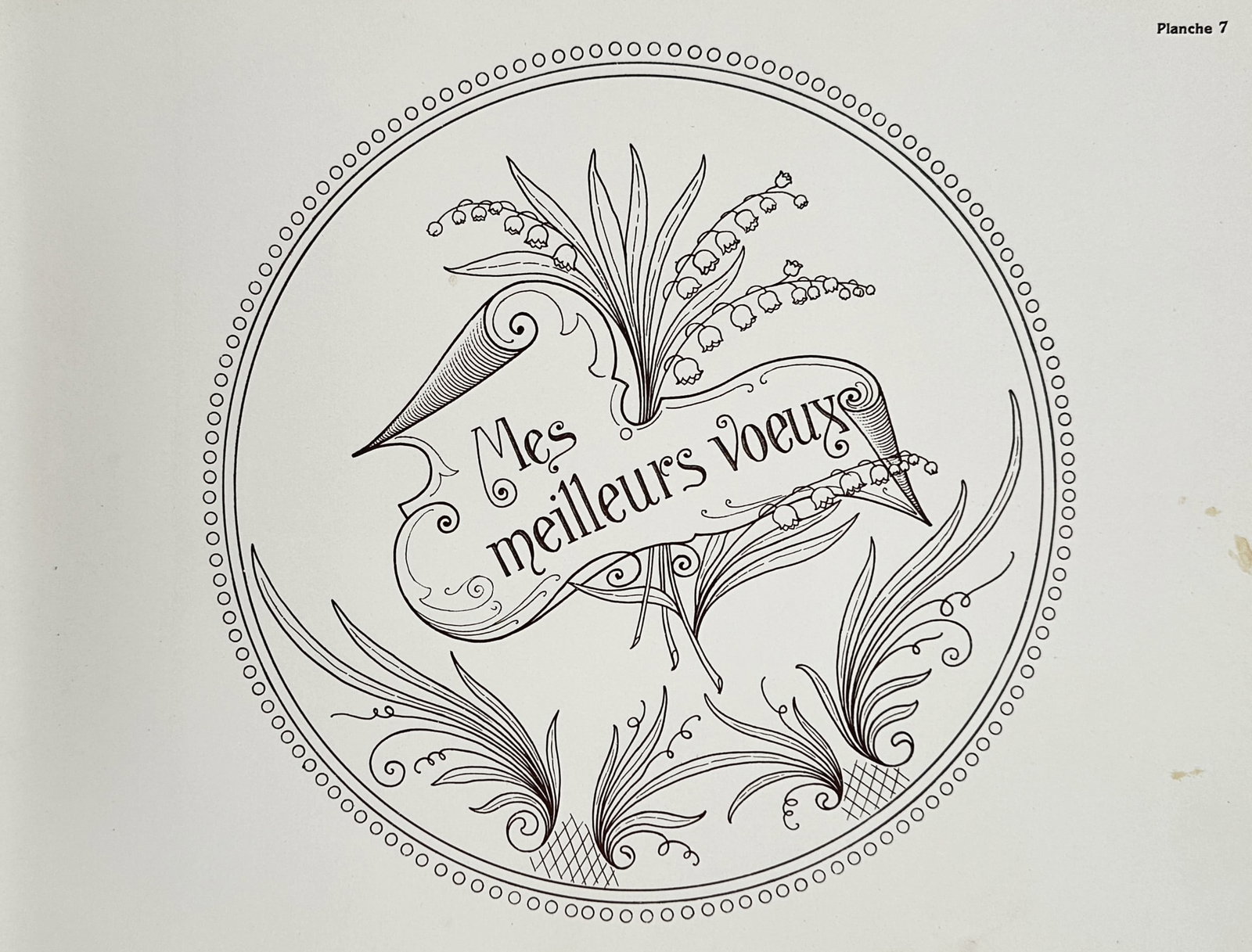 Auguste H. Thomas – View of a Floral Greeting Monogram – Lithograph (19th Century): "Planche 7" portrays a decorative monogram design featuring the French greeting Mes meilleurs voeux inscribed upon a flowing scroll. The text is surrounded by a delicate arrangement of lilies of the v