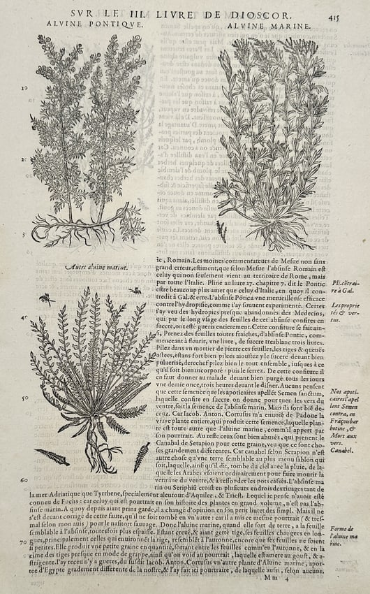 Pietro Andrea Mattioli (1501–1577) – View of Alvine Pontique and Alvine Marine – Woodcut (1 of 2)