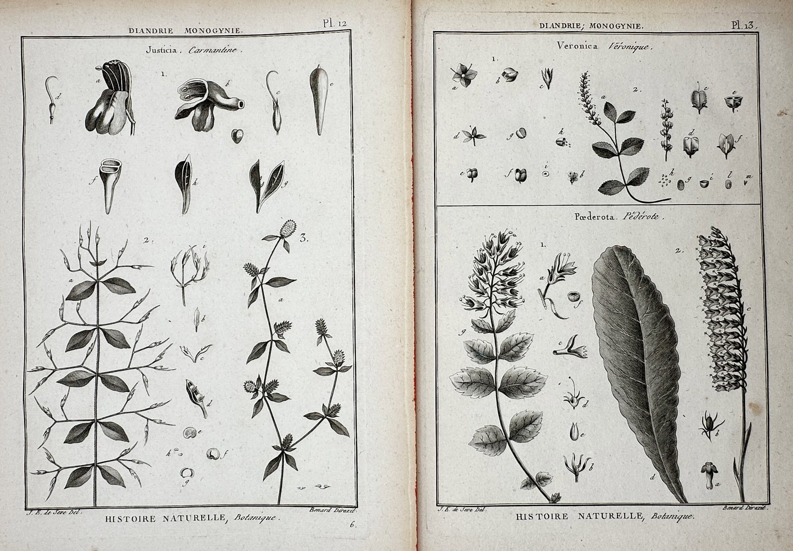 Robert Benard (1734–1777) – Set of 2: Views of the Justicia, Veronica – Copper engraving (c. (1 of 2)