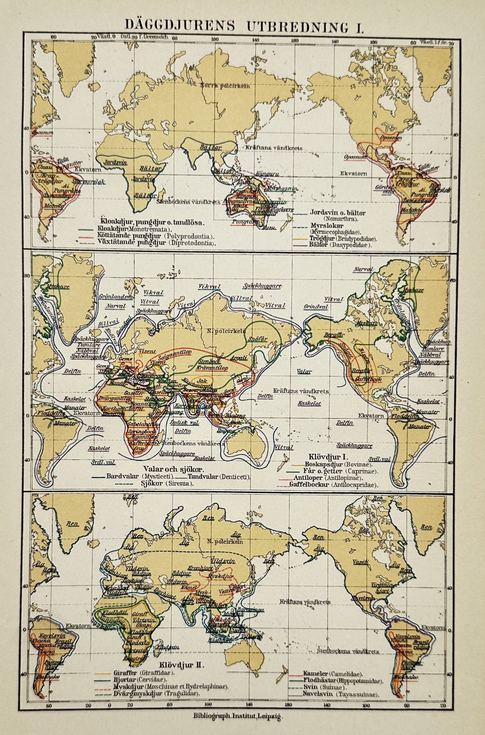 Bibliographisches Institut – Map of Global Mammal Distribution – Lithograph (1890–1910) (1 of 2)