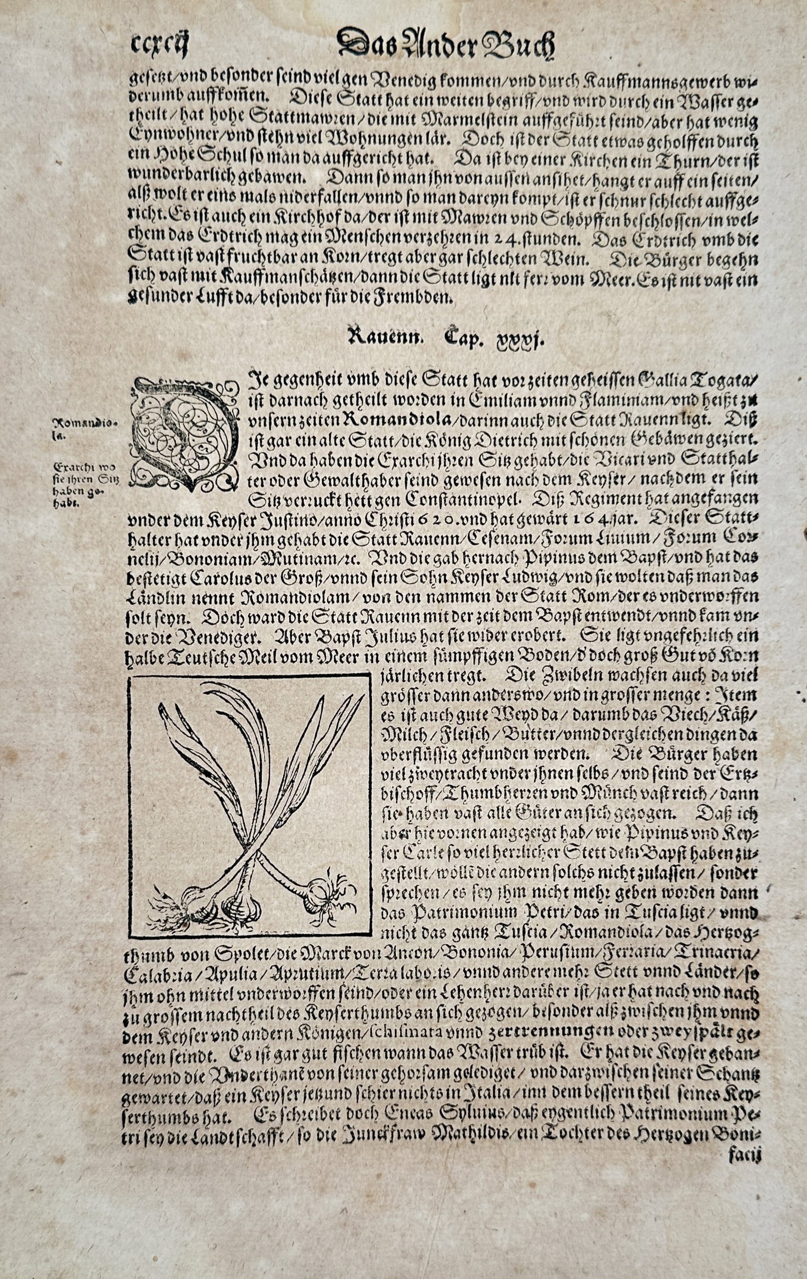 Sebastian Münster (1488–1552) – Topography of Ravenna and Study of Onions – Woodcut: "Ravenn. Cap. xxxj." features a woodcut illustration of two crossed onions with their stalks, highlighting the agricultural bounty and fertile lands surrounding the city of Ravenna. This woodcut was p