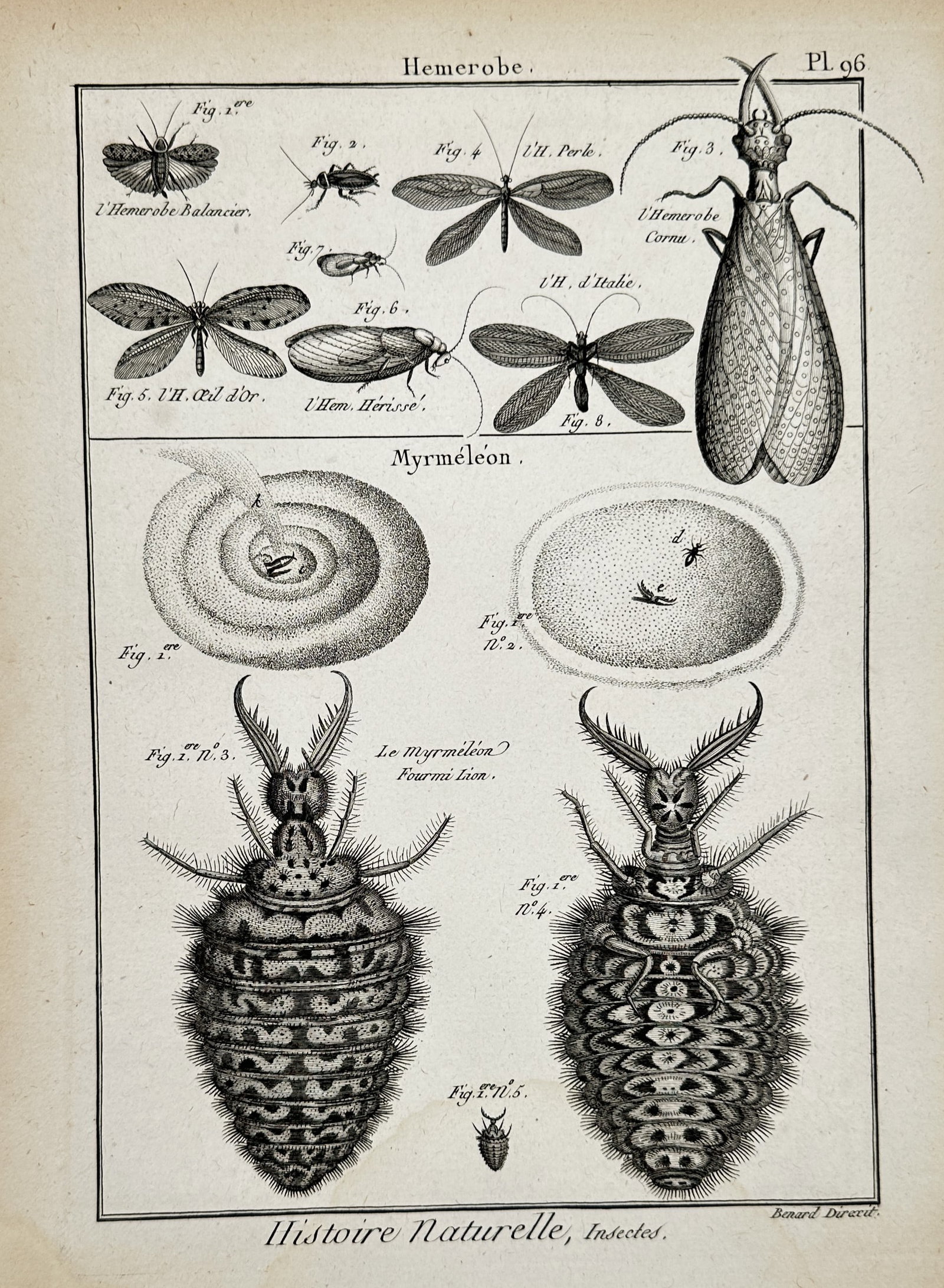 Robert Benard (1734–1777) – Study of Lacewings and Antlions – Engraving (1762–1772): "Hemerobe. Myrméléon." and "Histoire Naturelle, Insectes." illustrates a detailed entomological study of neuropteran insects, featuring various species of delicate lacewings and the life cycle of th