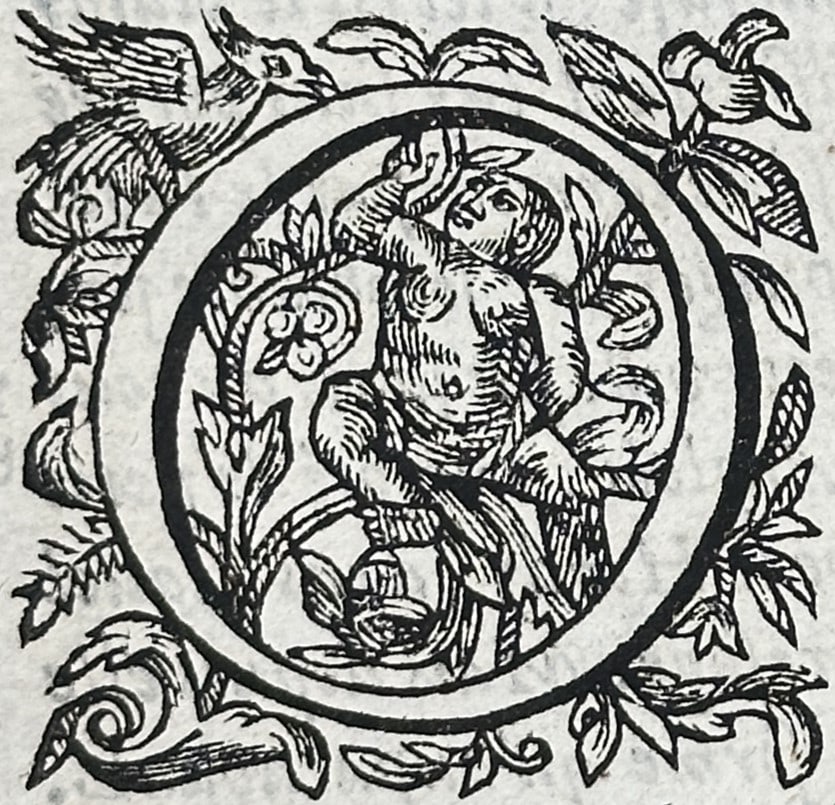 Sebastiano Serlio (1475–1554) – View of the Description of Ostend – Woodcut (1619) (1 of 3)