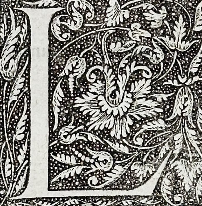 Guillaume Rouillé (c. 1518–1589) – View of the Virtues of Simple Medicines for the Head – (1 of 3)