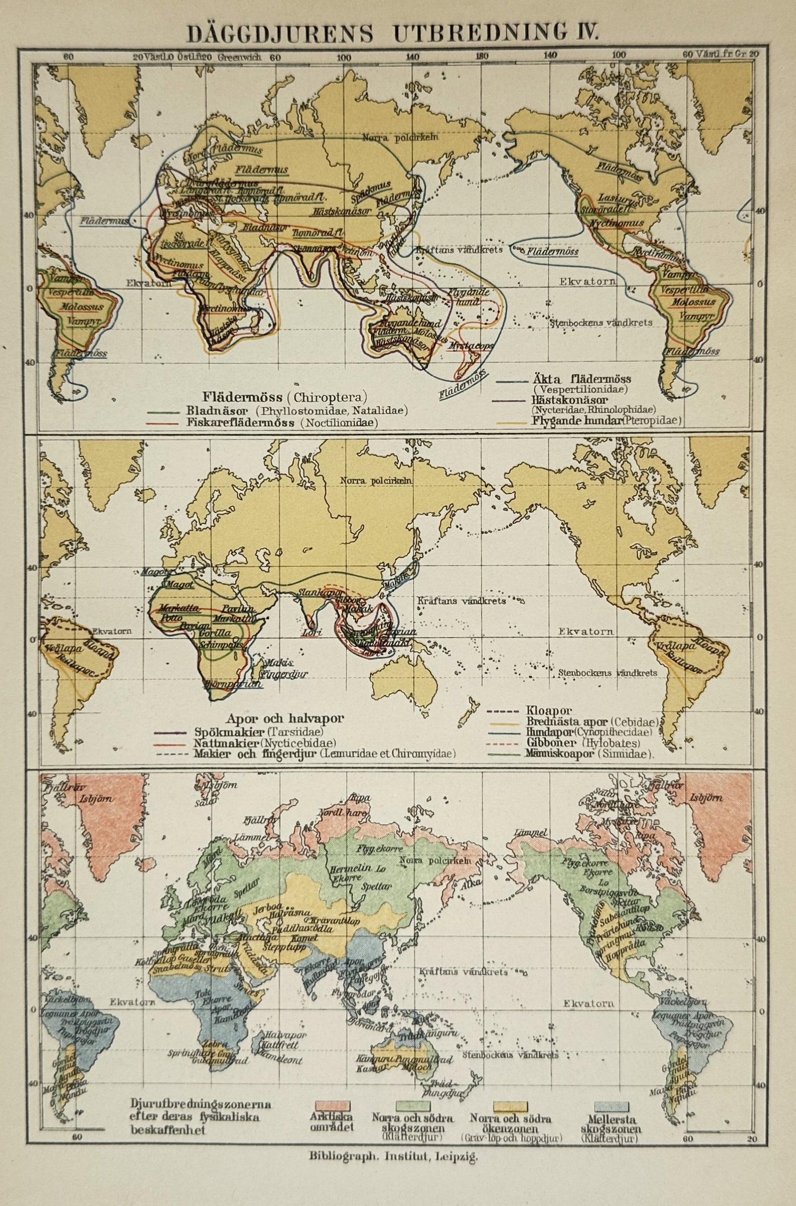 Bibliographisches Institut – Map of Global Mammal Distribution – Leipzig – Lithograph (1 of 2)