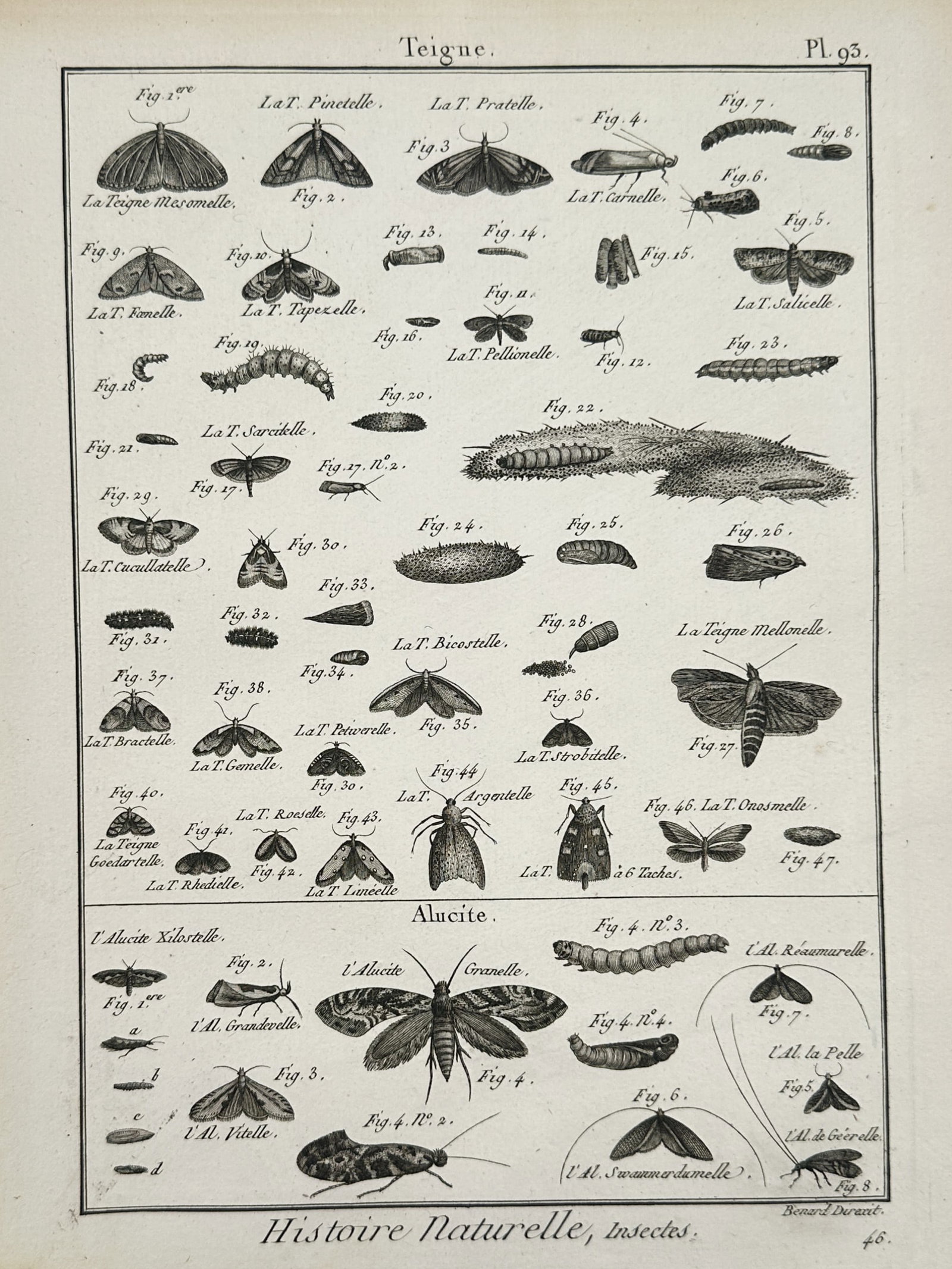 Robert Benard (1734–1777) – Study of Moths and Plume Moths – Copper engraving (1780–1800) (1 of 2)