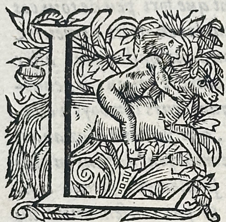 Sebastiano Serlio (1475–1554) – Architectural Treatise Illustration – Woodcut (1619): This woodcut page originates from an edition of an architectural or topographical treatise, featuring a decorative initial "L" and dense French typography describing the ports of Flanders. While the t