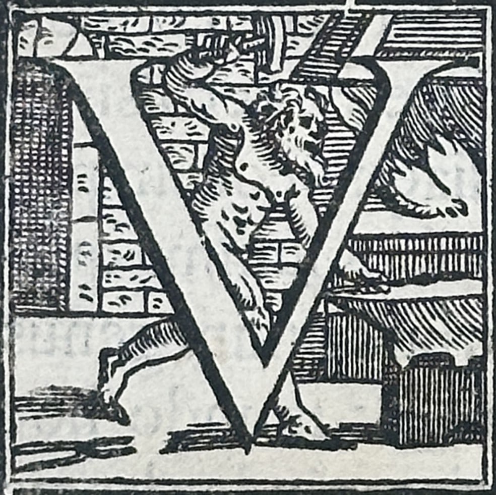 Sebastiano Serlio (1475–1554) – Architectural Treatise Illustration – Woodcut (1619): This woodcut page originates from an edition of an architectural or humanist treatise, featuring a dedication to Giovanni Delfino and a decorative initial "V" within the Latin text. The layout and typ