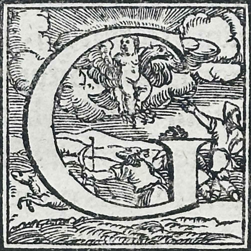 Sebastiano Serlio (1475–1554) – Architectural Treatise Illustration – Woodcut (1619): This woodcut page features a dedication to the King of France, Francis I (Franciscum Valesium), and includes a prominent decorative initial "G" within the Latin text. The layout and specialized typogr