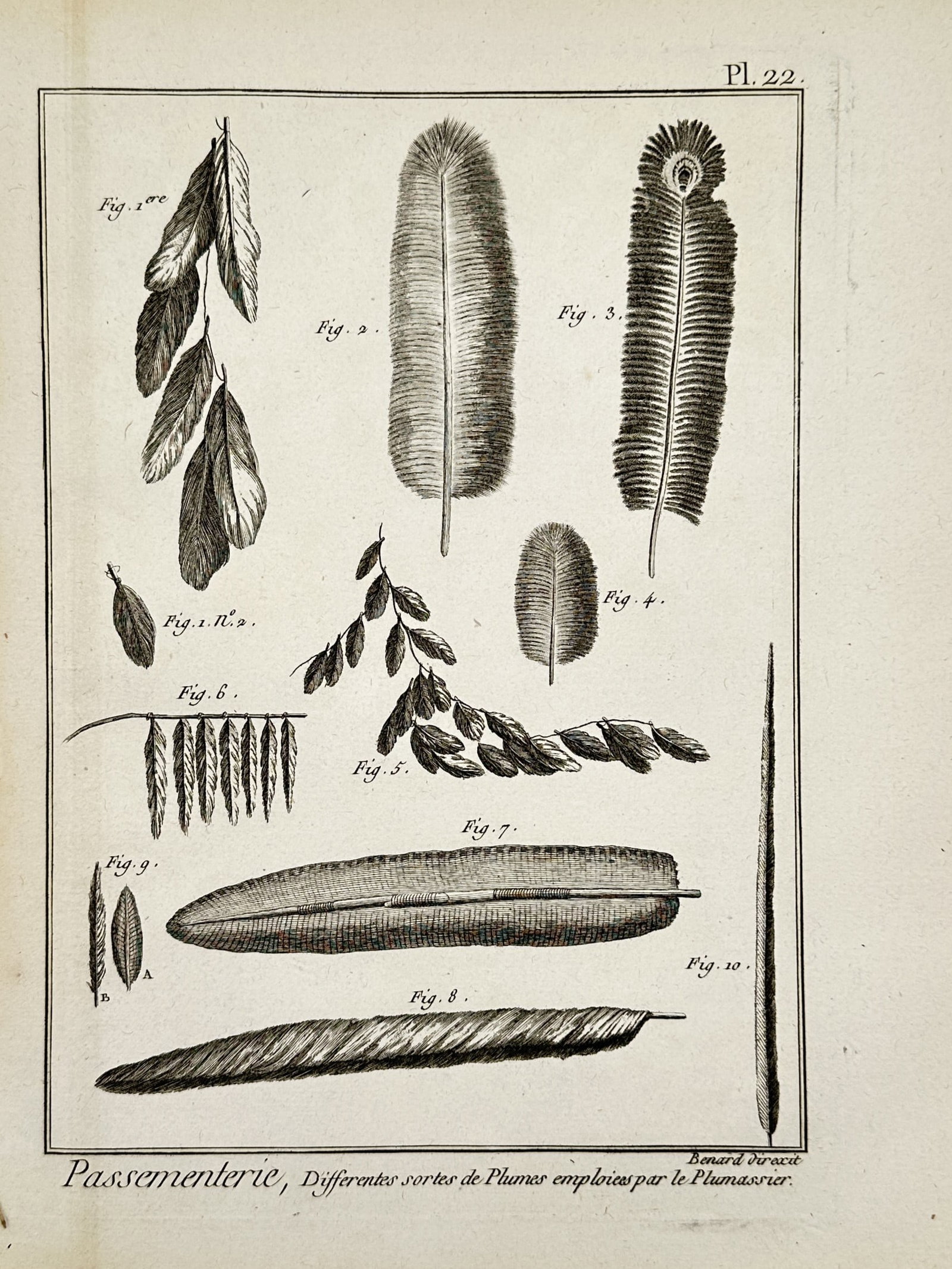 Robert Bénard (1734–1777) – Trimming Manufacture: Different Kinds of Feathers – Engraving: "Passementerie, Differentes sortes de Plumes emploiees par le Plumassier" displays various types of decorative feathers and plumes used by feather workers, arranged in a clean layout within a bordered