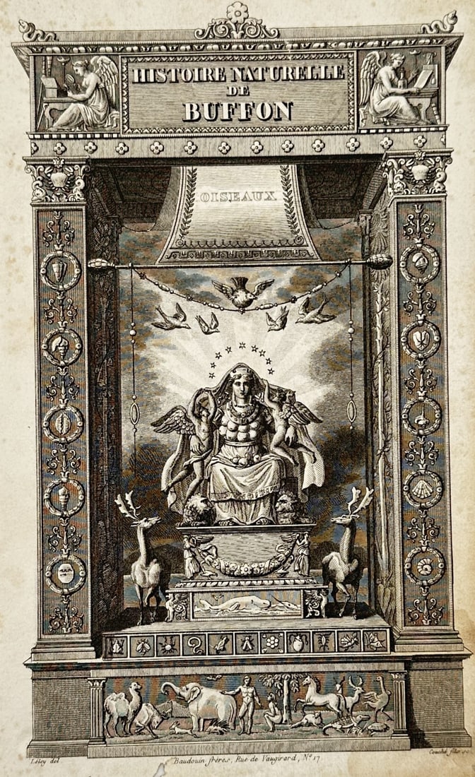 François Louis Couché – Frontispiece for Buffon's Histoire Naturelle – Hand-Colored Engraving: This plate features an intricately designed allegorical frontispiece for an edition of Buffon’s celebrated natural history series, specifically marking the volumes dedicated to birds. The compositio