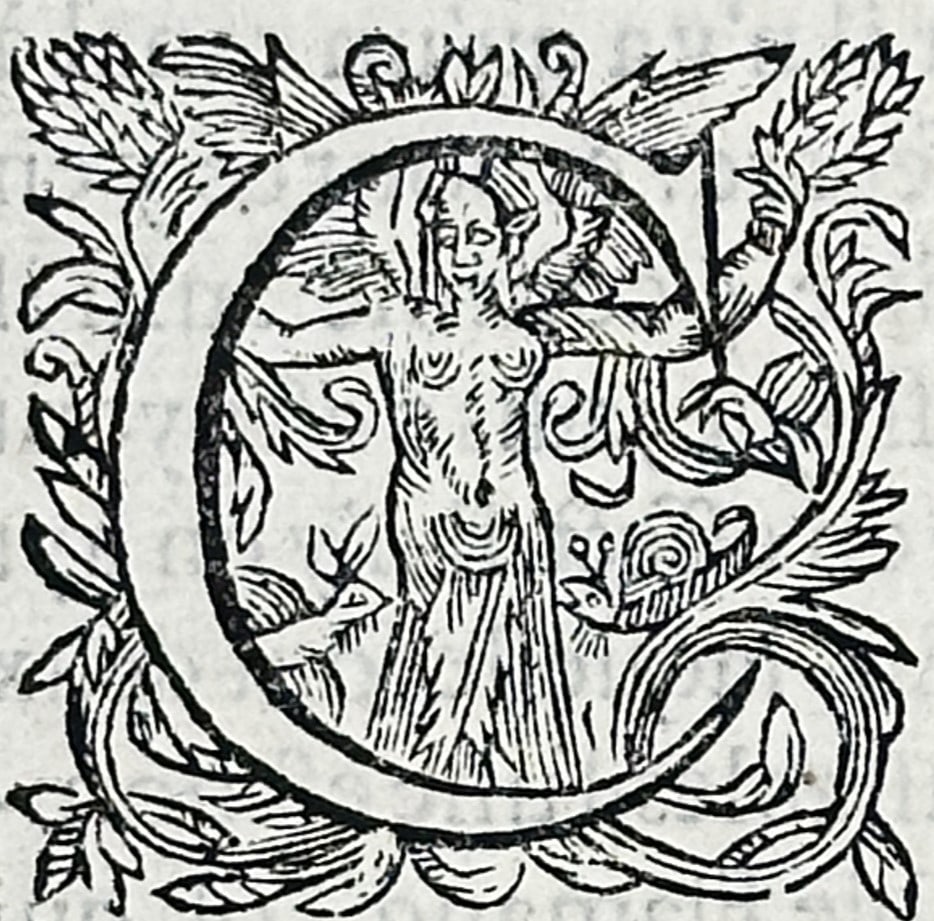 Lodovico Guicciardini (1521–1589) – Historical Description of Middelburg – Woodcut (c.: "Description de Middelbourg". This plate features an elegant topographical and historical text page from Lodovico Guicciardini's famous description of the Low Countries, Omnium Belgii sive Inferioris 