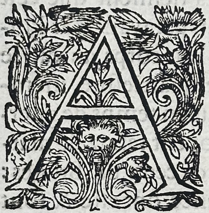 Lodovico Guicciardini (1521–1589) – Historical Description of Ypres – Woodcut (c. 1582–1625): "Description de Hypre". This plate features an elegant topographical and historical text page from Lodovico Guicciardini's famous description of the Low Countries, Omnium Belgii sive Inferioris German