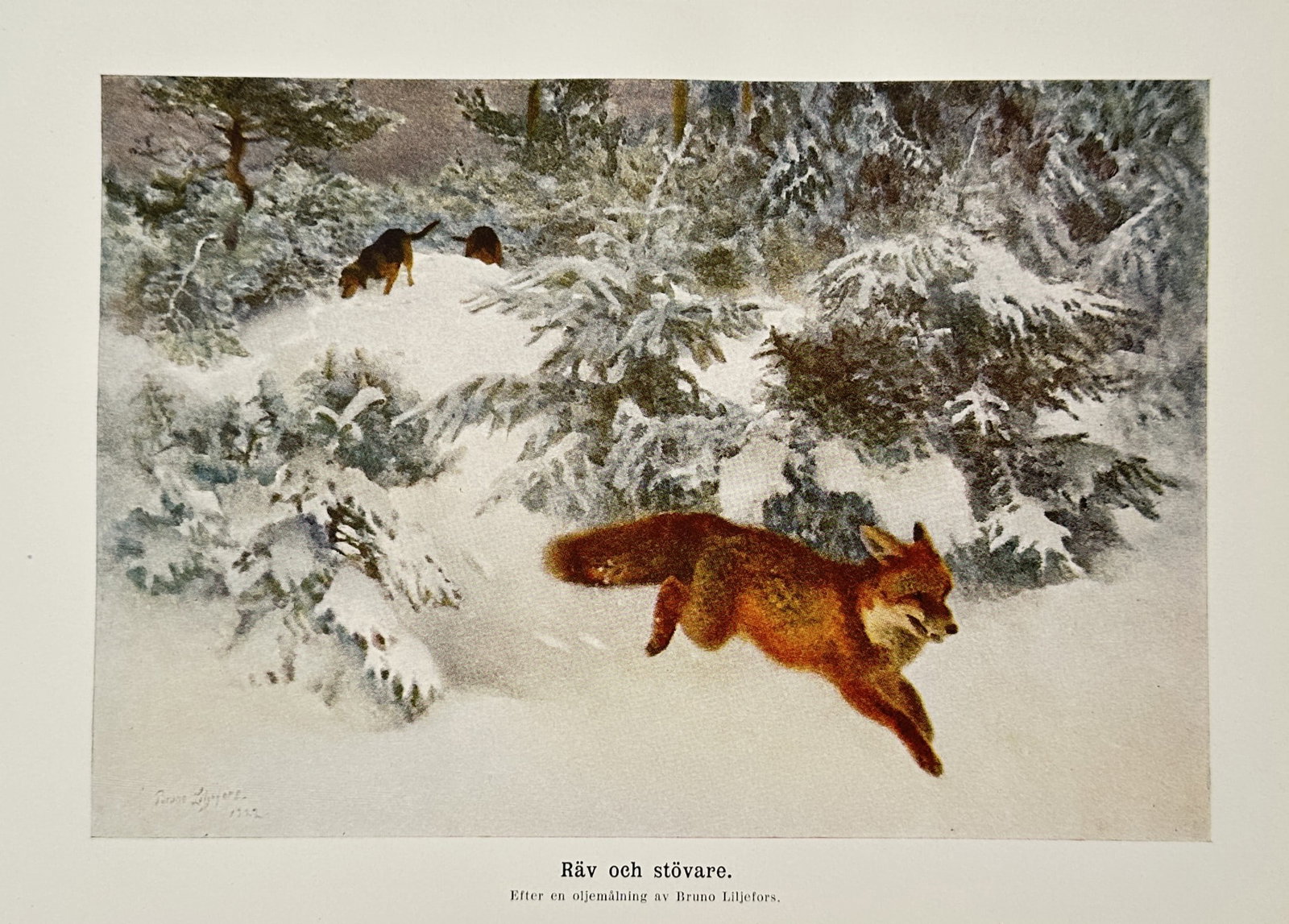 Bruno Liljefors (1860-1939) – View of a Fox and Hound – Lithograph (1924) (1 of 2)