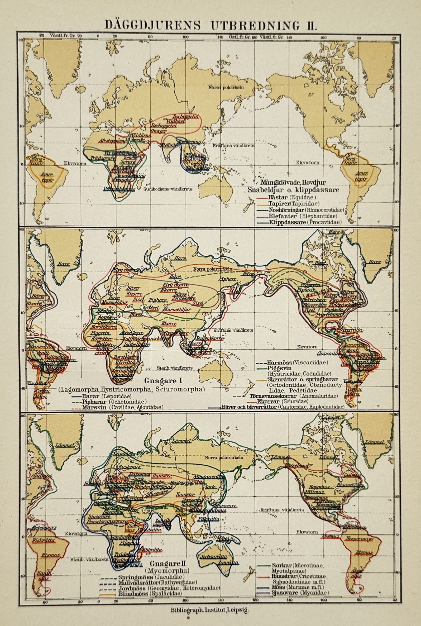 Bibliographisches Institut – Map of Mammal Distribution II – Color Lithograph (1924) (1 of 2)