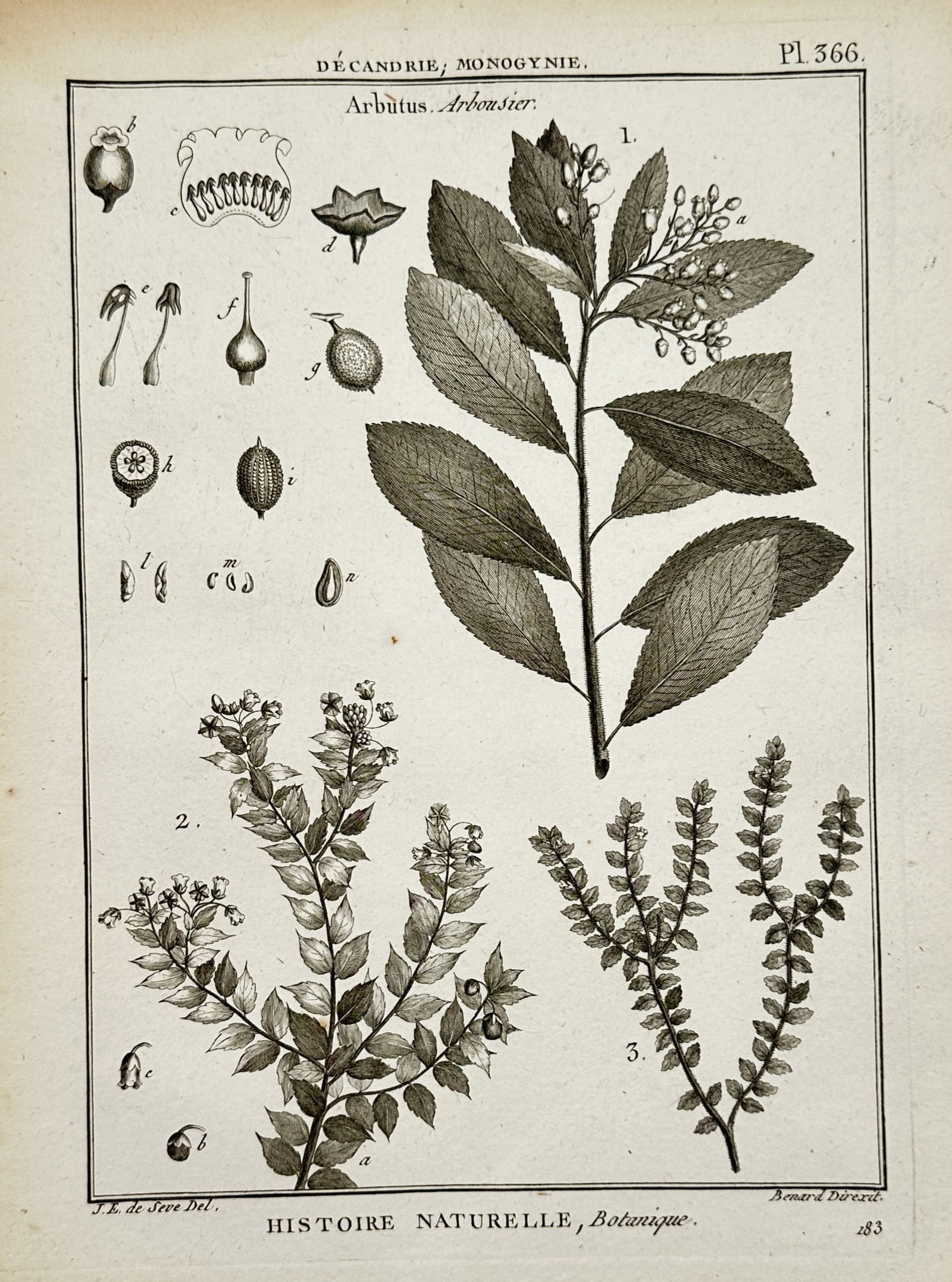 Robert Bénard – View of Arbutus – Engraving (1788) (1 of 2)