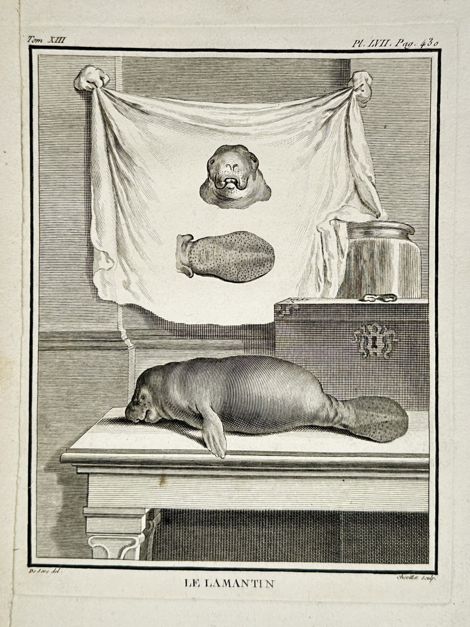 Georges-Louis Leclerc, Comte de Buffon – Le Lamantin – Engraving (1765) (1 of 2)