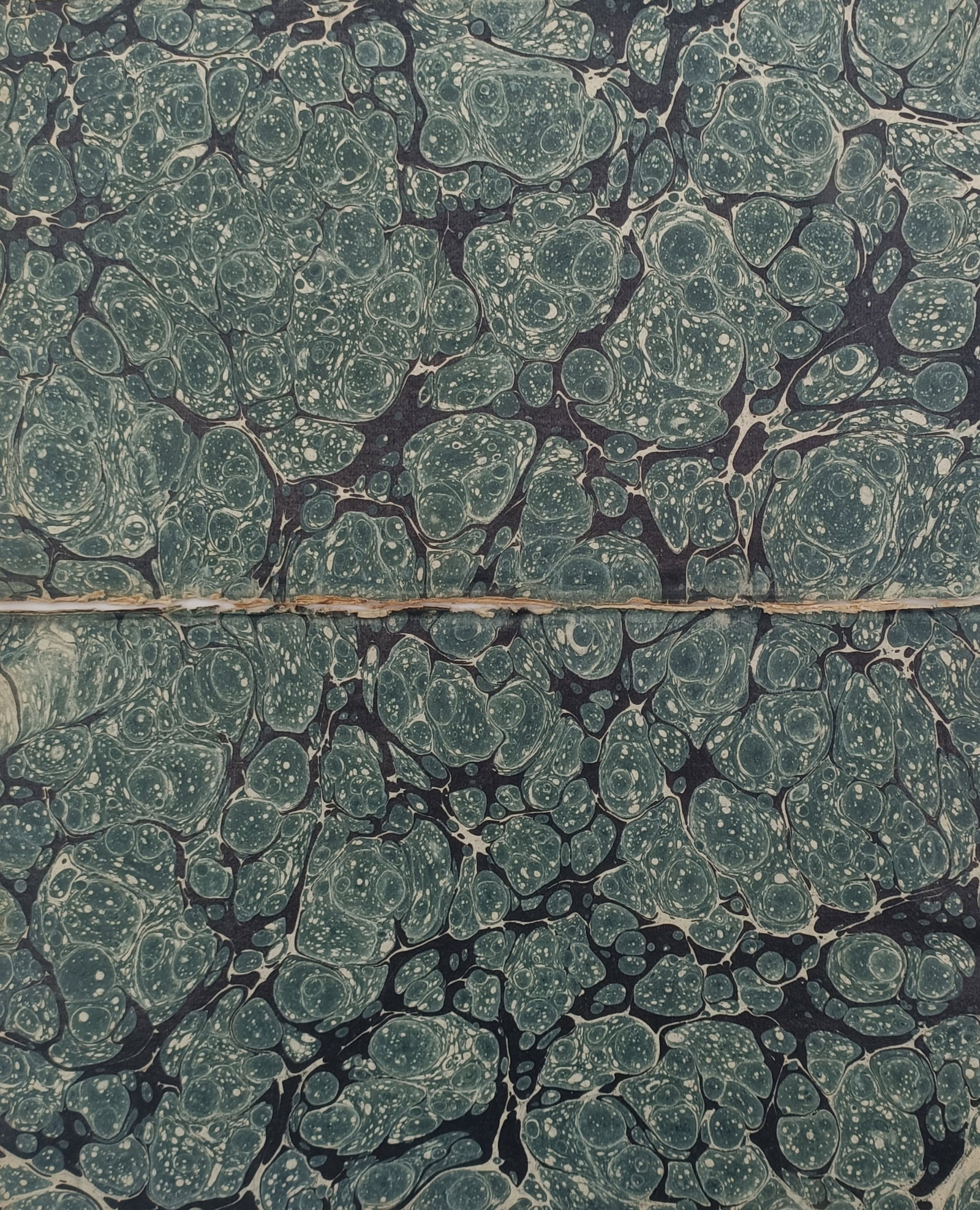 Unknown Artist – Italian Marbled Bookbinding Paper – Marbled paper (c. 1880s) (1 of 2)