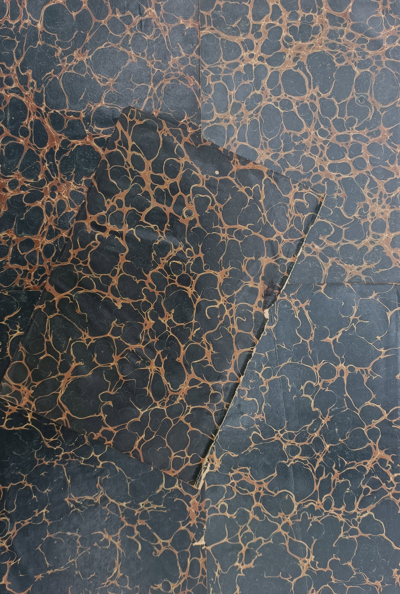 Unknown Artist – Shell Marbled Bookbinding Paper – Marbled paper (c. 1880s) (1 of 2)