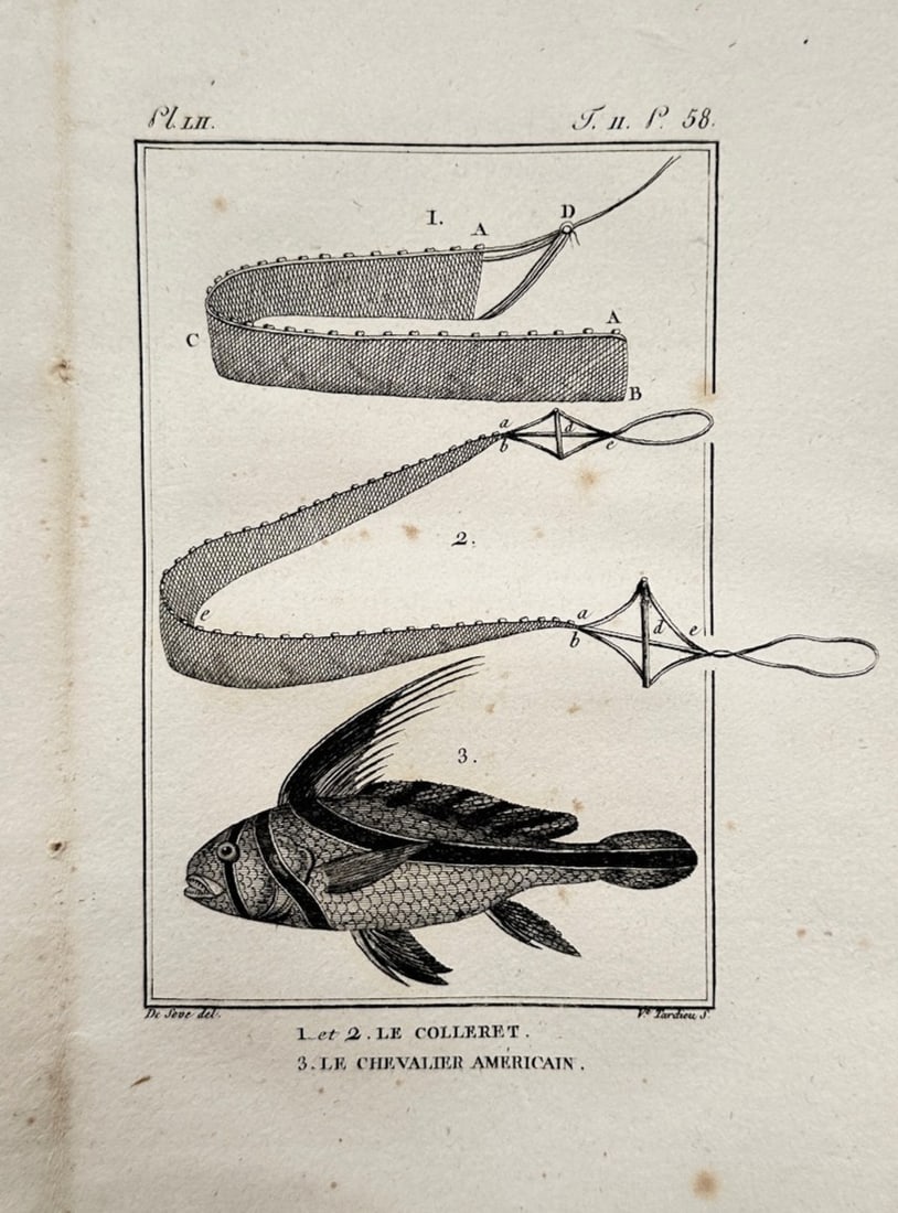 Georges-Louis Leclerc, Comte de Buffon – Ichthyological Study of Ribbon Fish and the American (1 of 2)