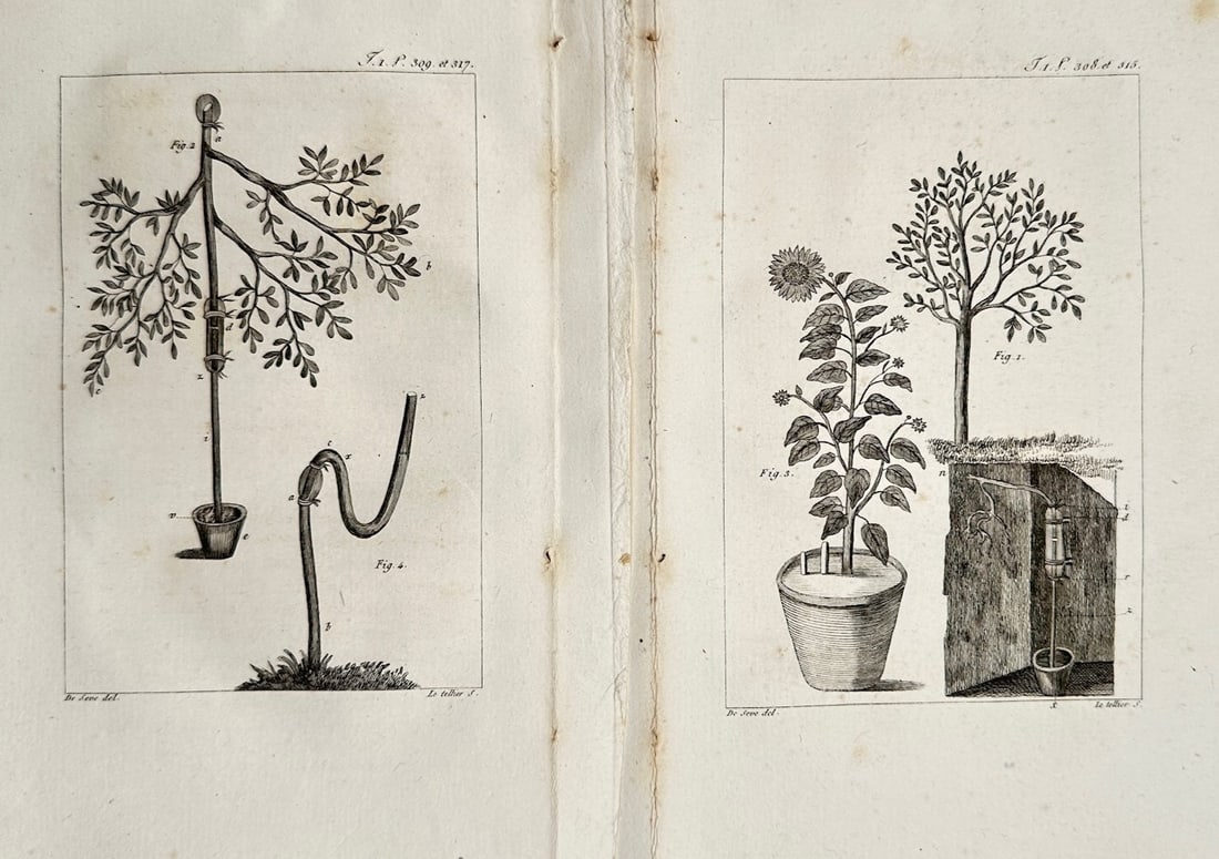 Georges-Louis Leclerc, Comte de Buffon – Set of 2: Botanical Studies of Plant Physiology (1 of 2)