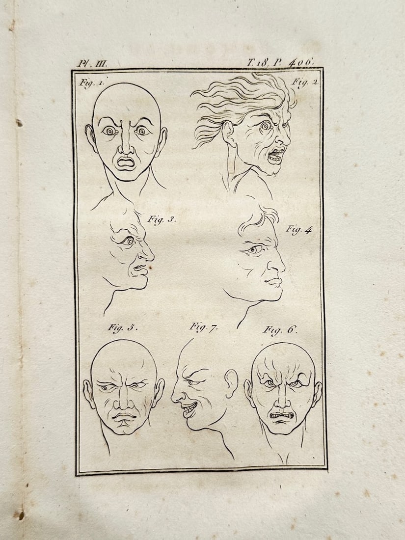 Georges-Louis Leclerc, Comte de Buffon – Study of Human Expressions and Physiognomy: "Histoire Naturelle" illustrates a detailed scientific and anatomical study documenting human facial expressions, capturing a broad overview of Enlightenment-era physiognomy through a single illustrat