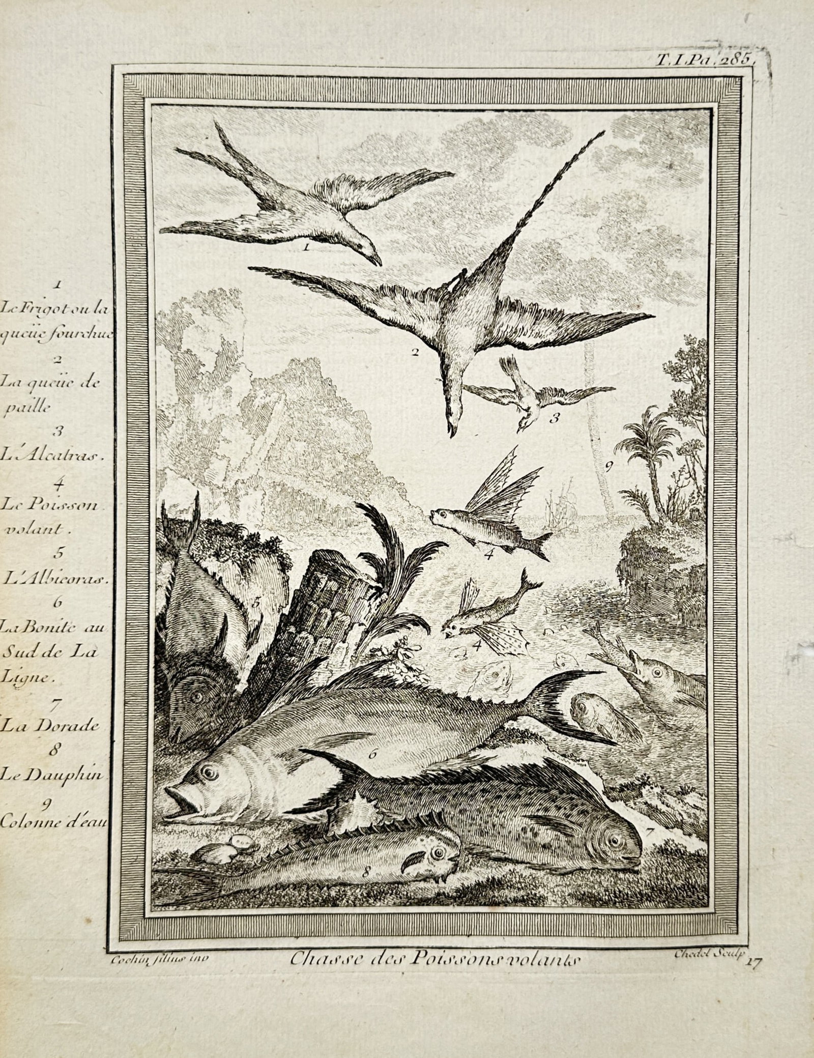 Antoine François Prévost d'Exiles – Marine Study of Flying Fish Hunters and Oceanic Wildlife (1 of 2)