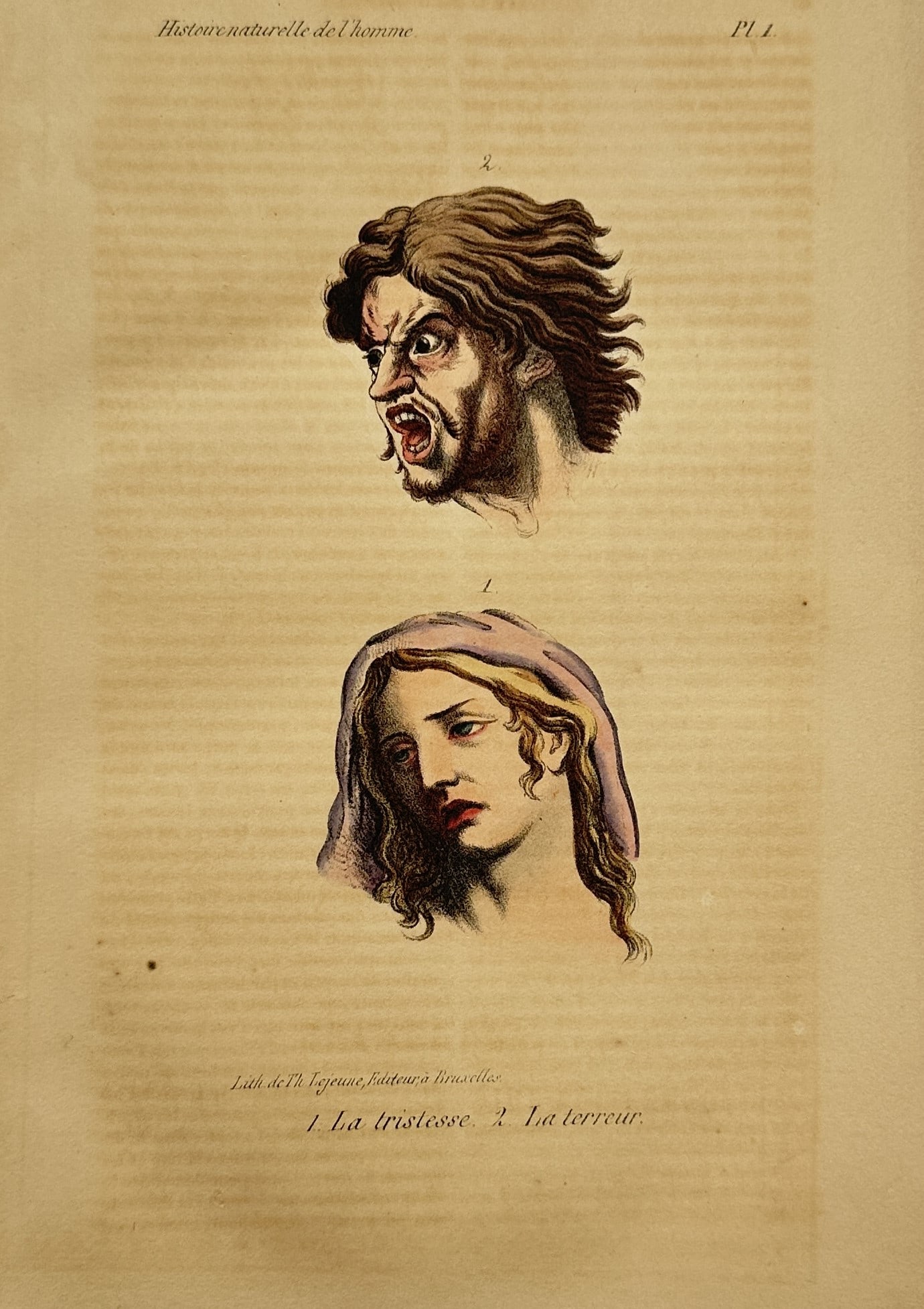 Theodore Lejeune – Anthropological Study of Human Emotions – Hand-coloured lithograph (1828): "Histoire naturelle de l'homme" presents a scientific anthropological study showcasing two human heads rendering different psychological emotional states. The composition outlines distinct physiognomi