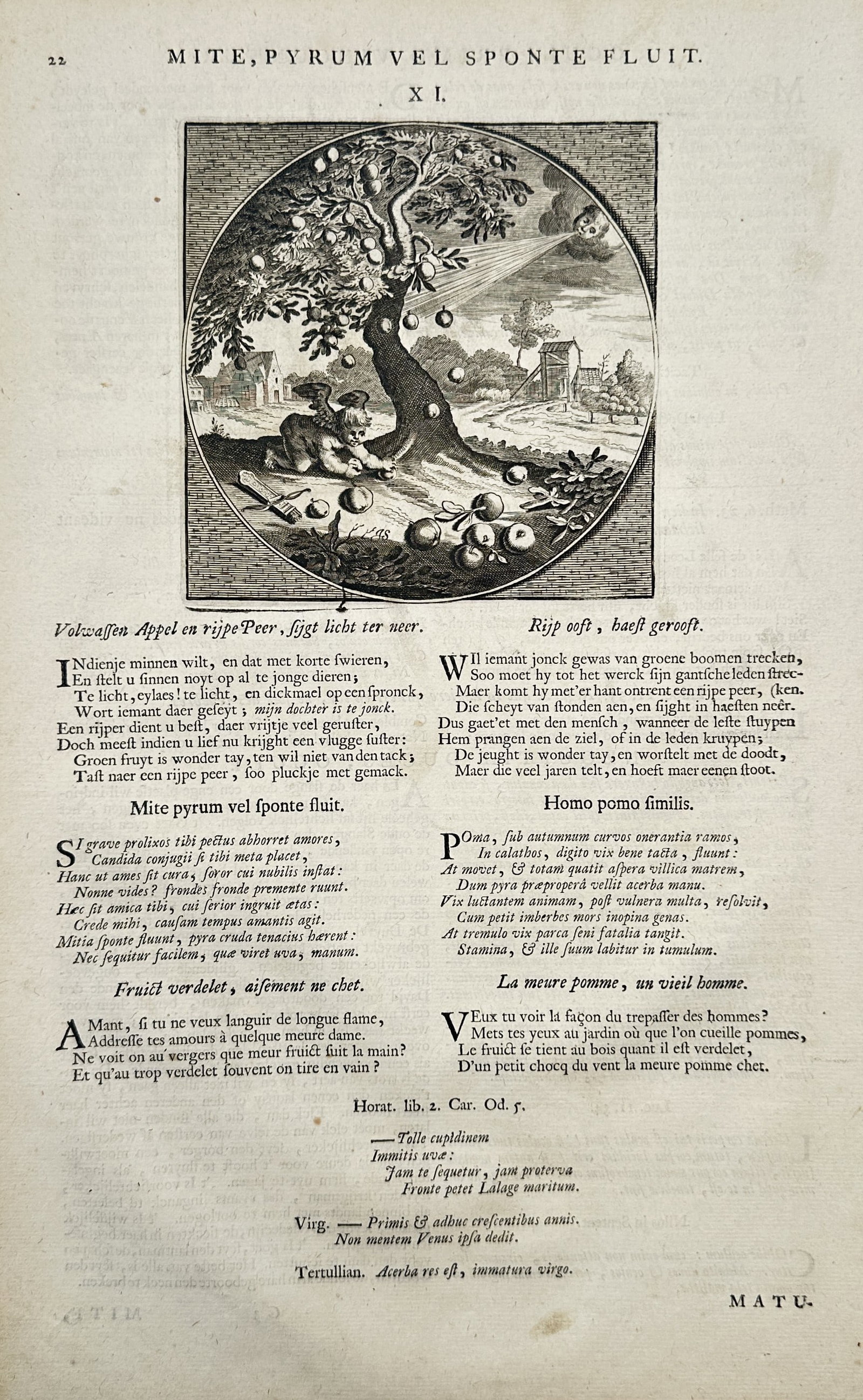 Jacob Cats – Emblematic Scene of a Fruit Tree and Cupid with Moral Commentary – Engraving (1 of 2)
