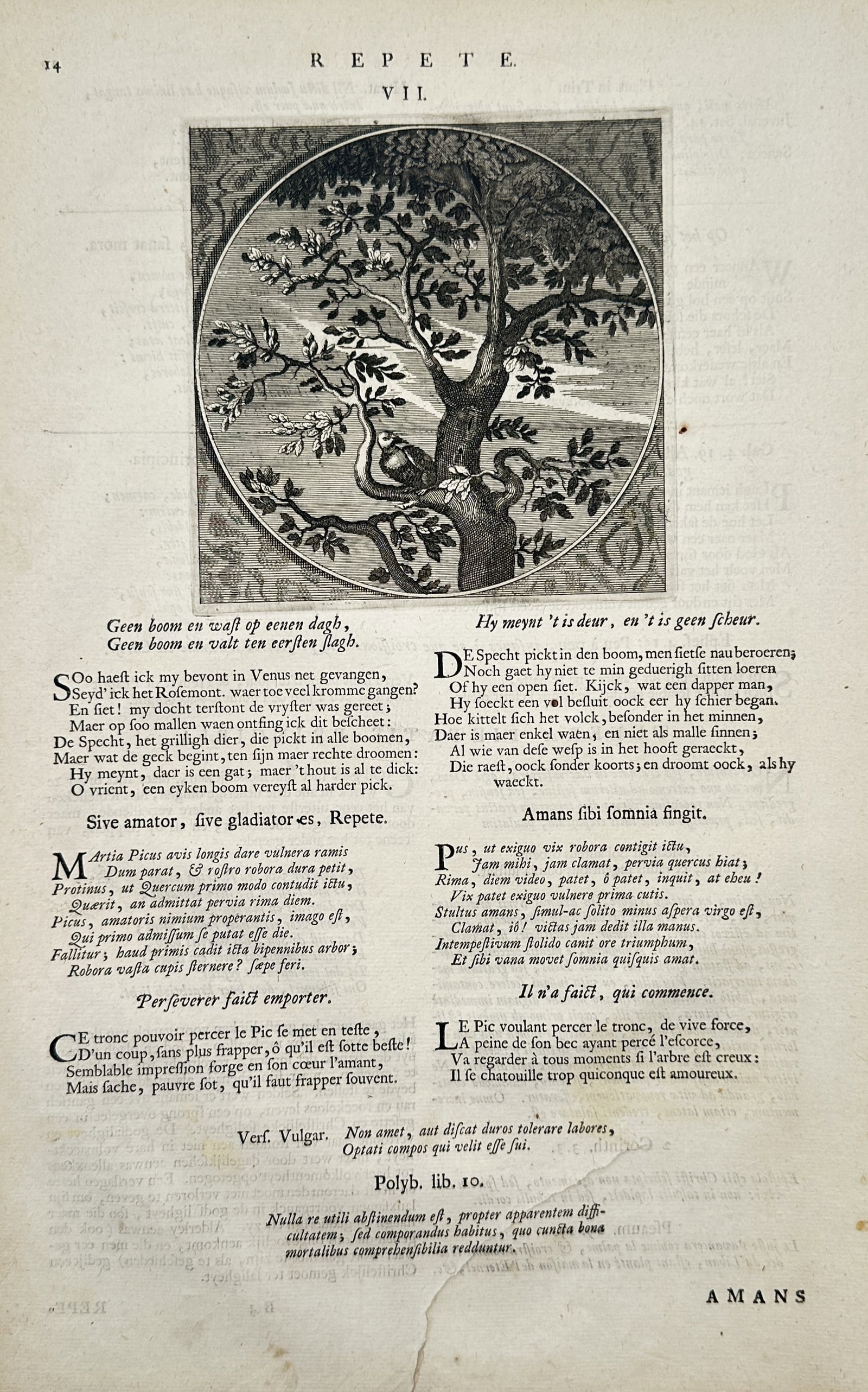 Jacob Cats – Emblematic Scene of a Woodpecker on a Tree with Moral Commentary – Engraving (1 of 2)