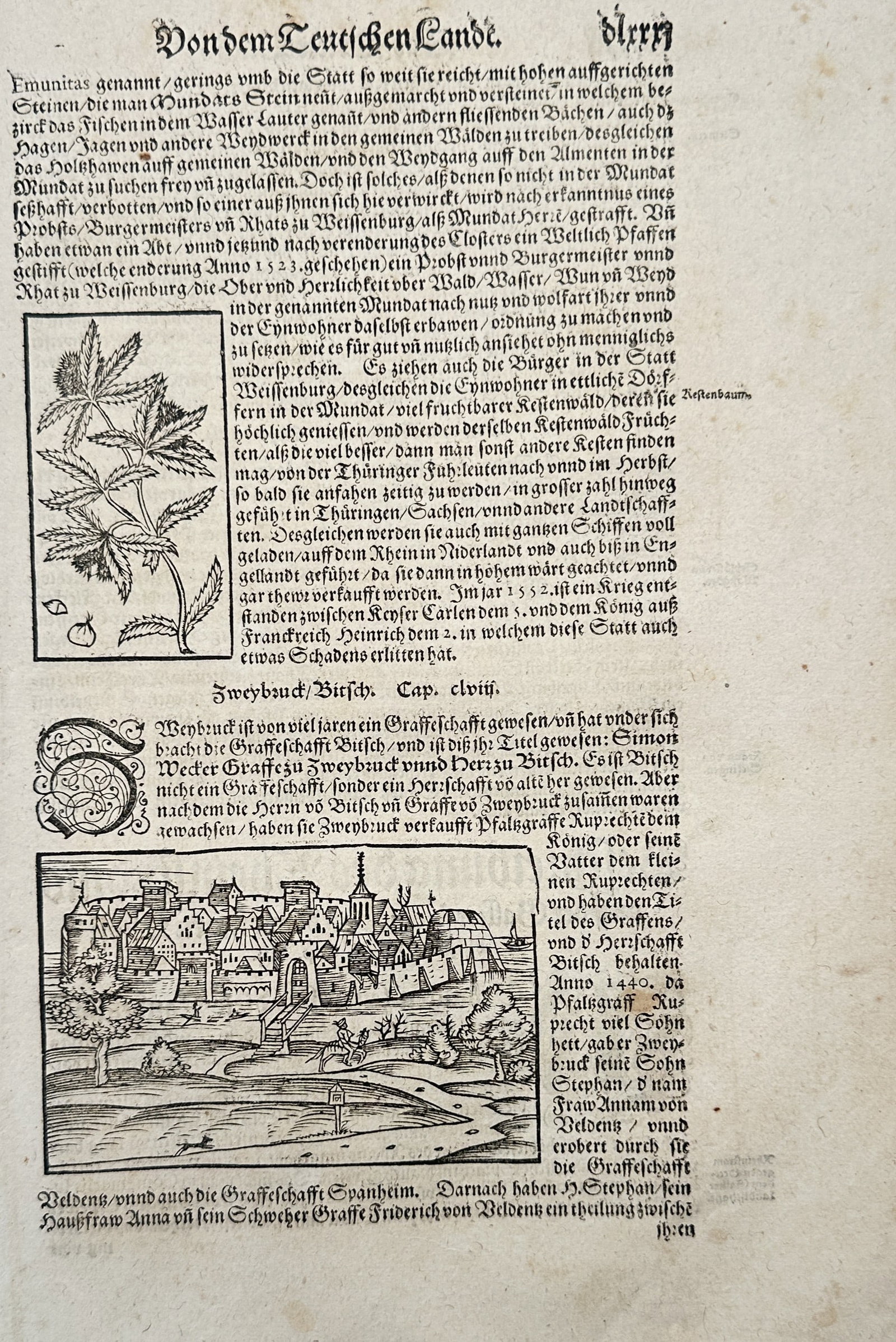 Sebastian Munster – Historical and Topographical Study of Zweibrücken and Bitche – Woodcut (1 of 2)