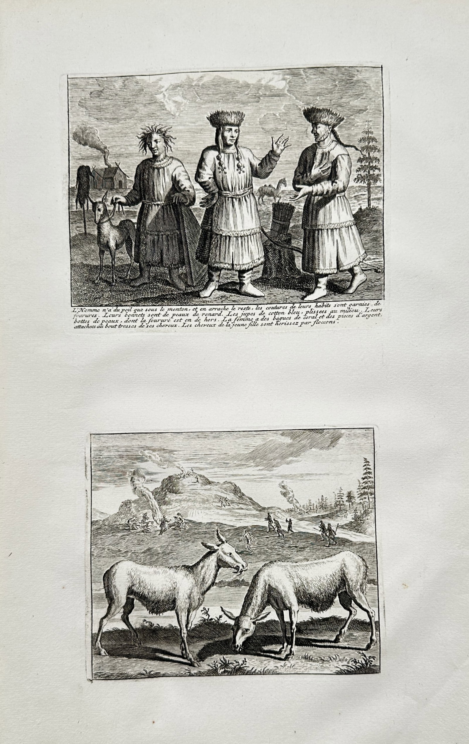 Cornelis de Bruijn (1652-1727) – View of Samoyed People and Animals – Etching (1718) (1 of 2)