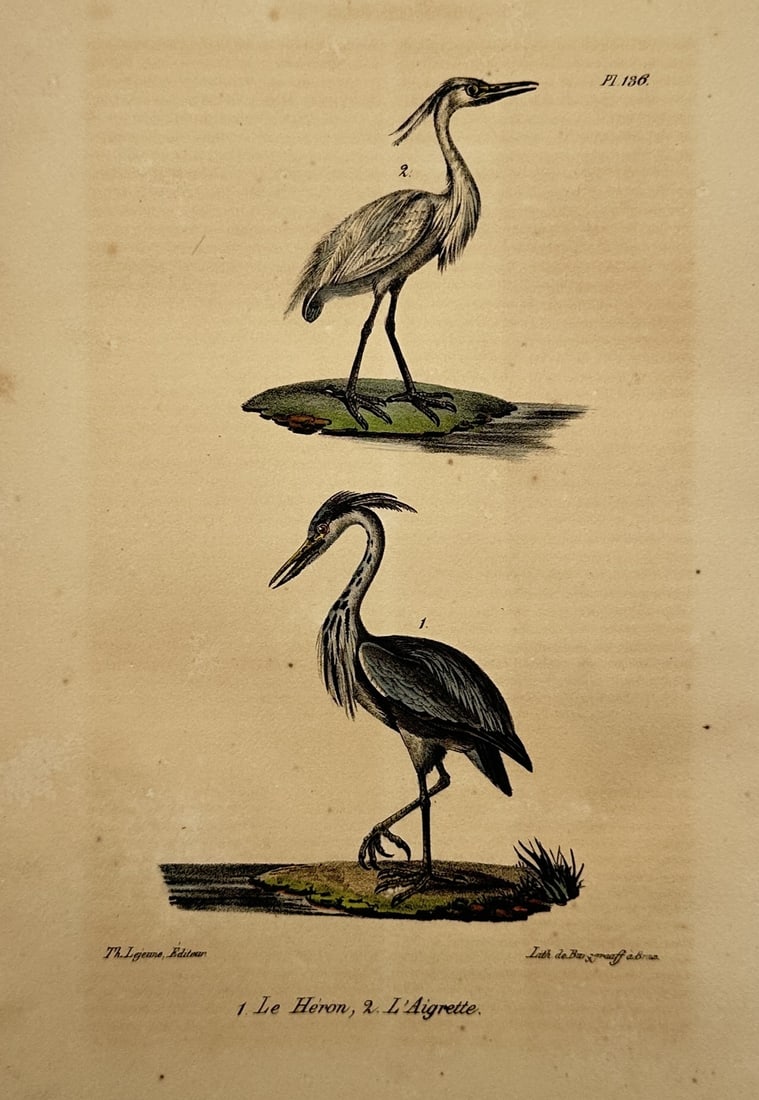 Theodore Lejeune – View of an Ornithological Study of a Heron and an Egret (1 of 2)