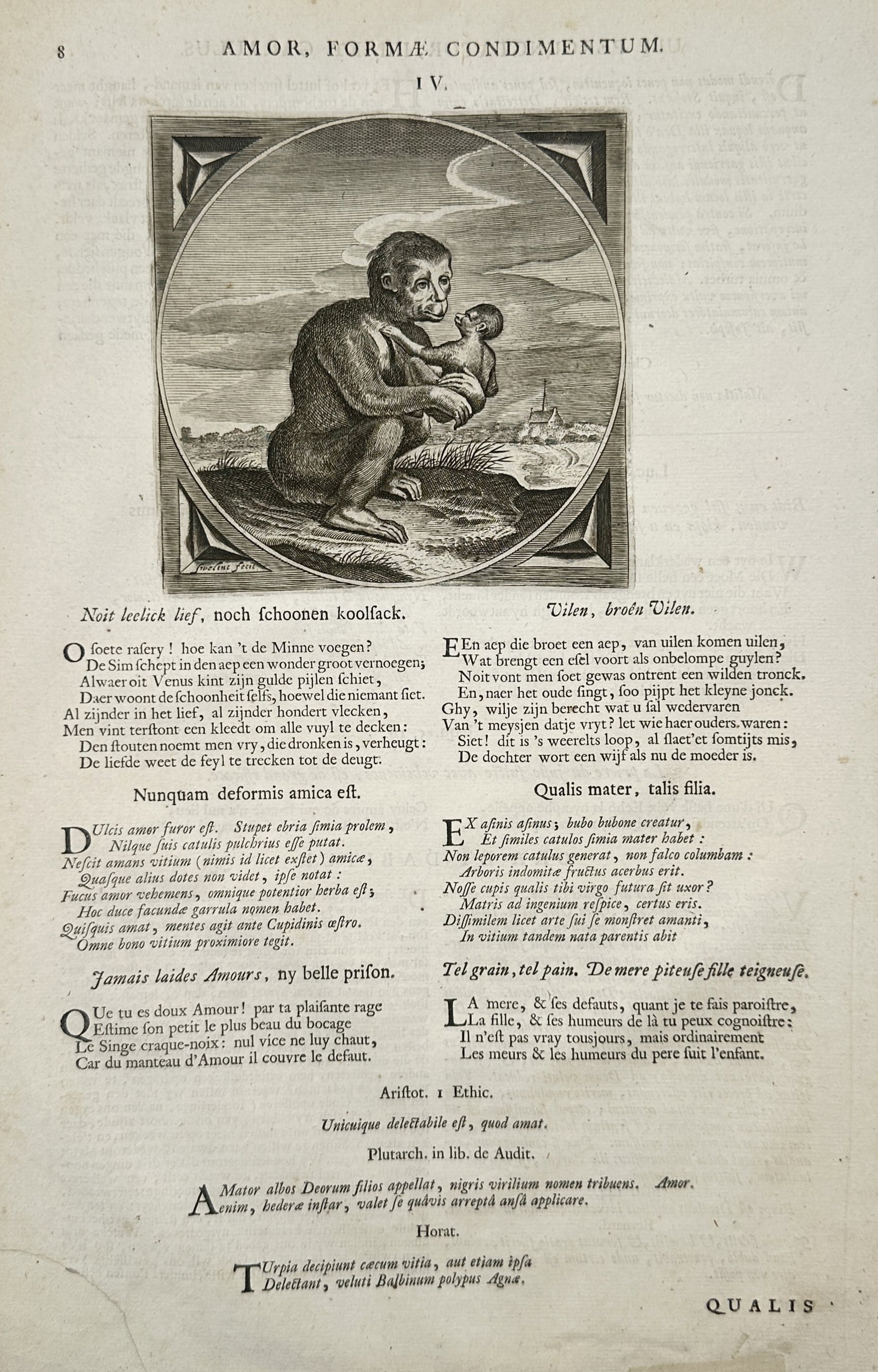 Jacob Cats – Emblematic Study on Love and Perception – Engraving (Late Seventeenth Century): "Amor, Formae Condimentum" This emblematic work features a concise composition showcasing an outdoor setting framed within a circular border where an ape is seated on the ground, tenderly holding and 