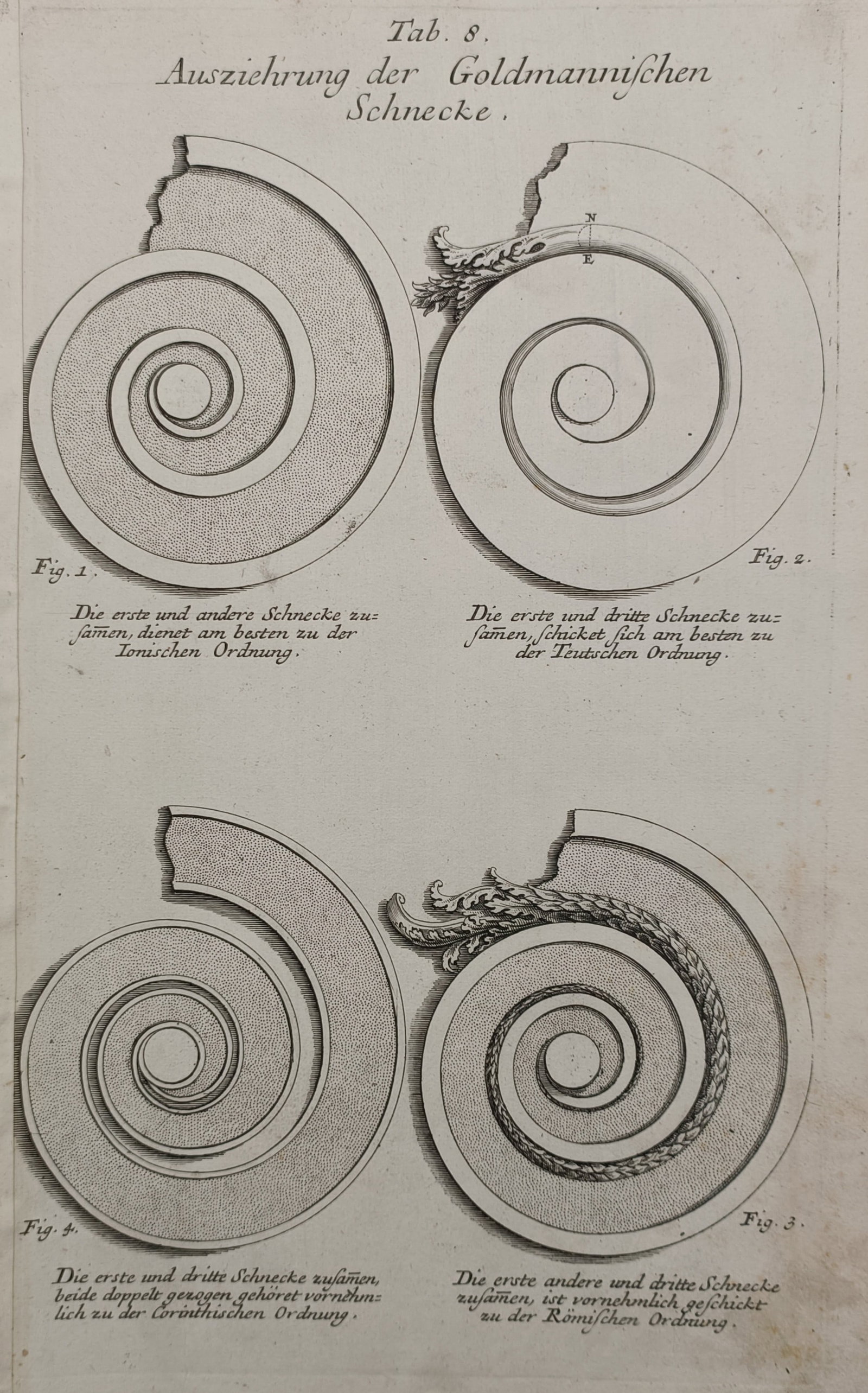 Leonhard Christoph Sturm (1669–1719) – Architectural Study of Spiral Volutes – Engraving (1 of 2)