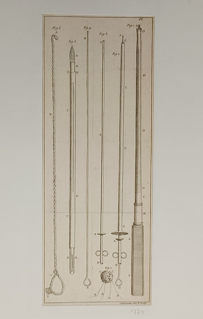 Jean Civiale (1792–1867) – Anatomical Study of Surgical Instruments – Engraving (19th Century) (1 of 2)