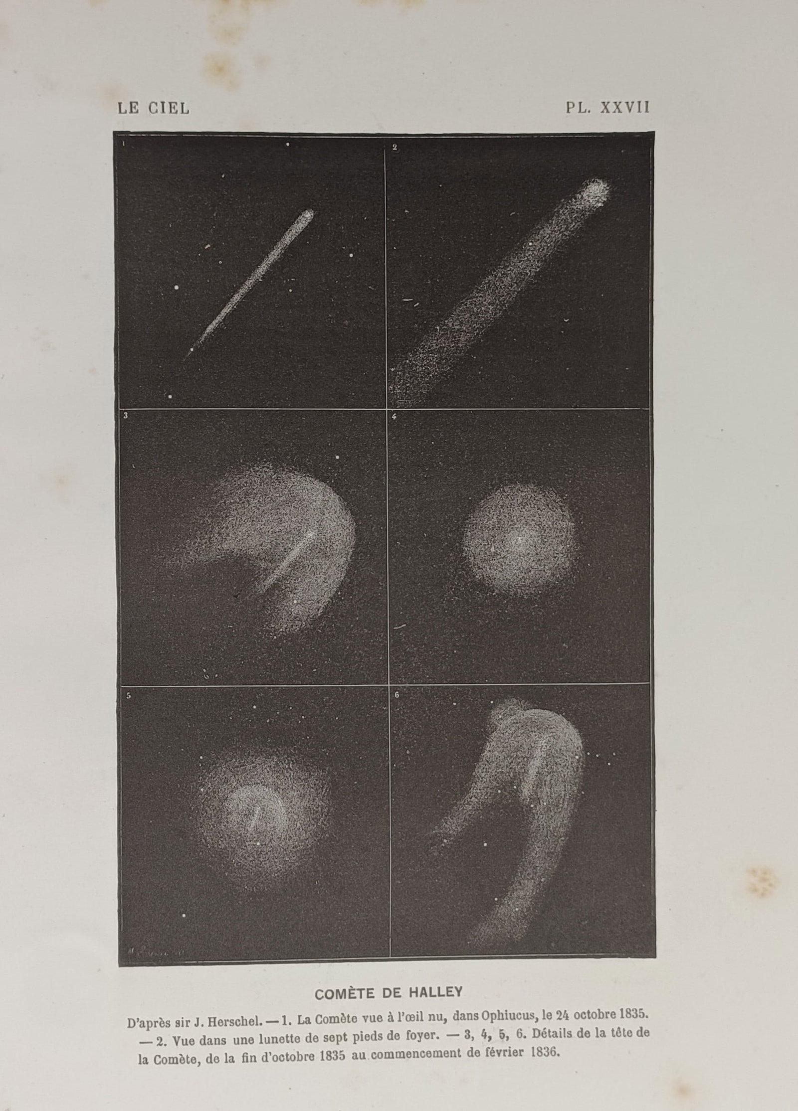 Amédée Guillemin (1826–1893), after – Illustration of Halley's Comet – Engraving (19th (1 of 2)