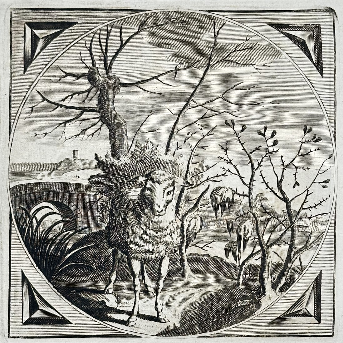 Jacob Cats – Emblematic Moral Study of a Sheep and Thorny Briars – Engraving (17th Century) (1 of 3)