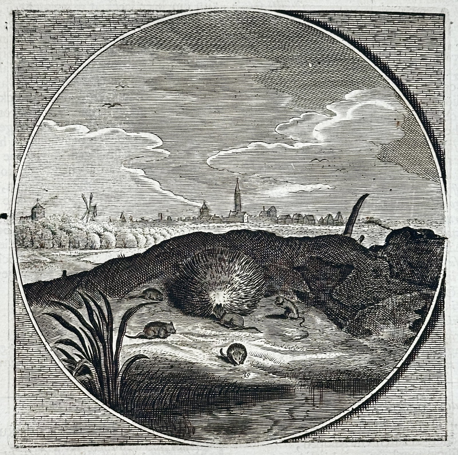 Jacob Cats – Emblematic Moral Study of a Hedgehog – Engraving (17th Century): "Ludite, Sed Caste" presents an emblematic study illustrating a hedgehog curled into a defensive ball on the ground with small mice nearby, set against a distant cityscape featuring traditional windmi