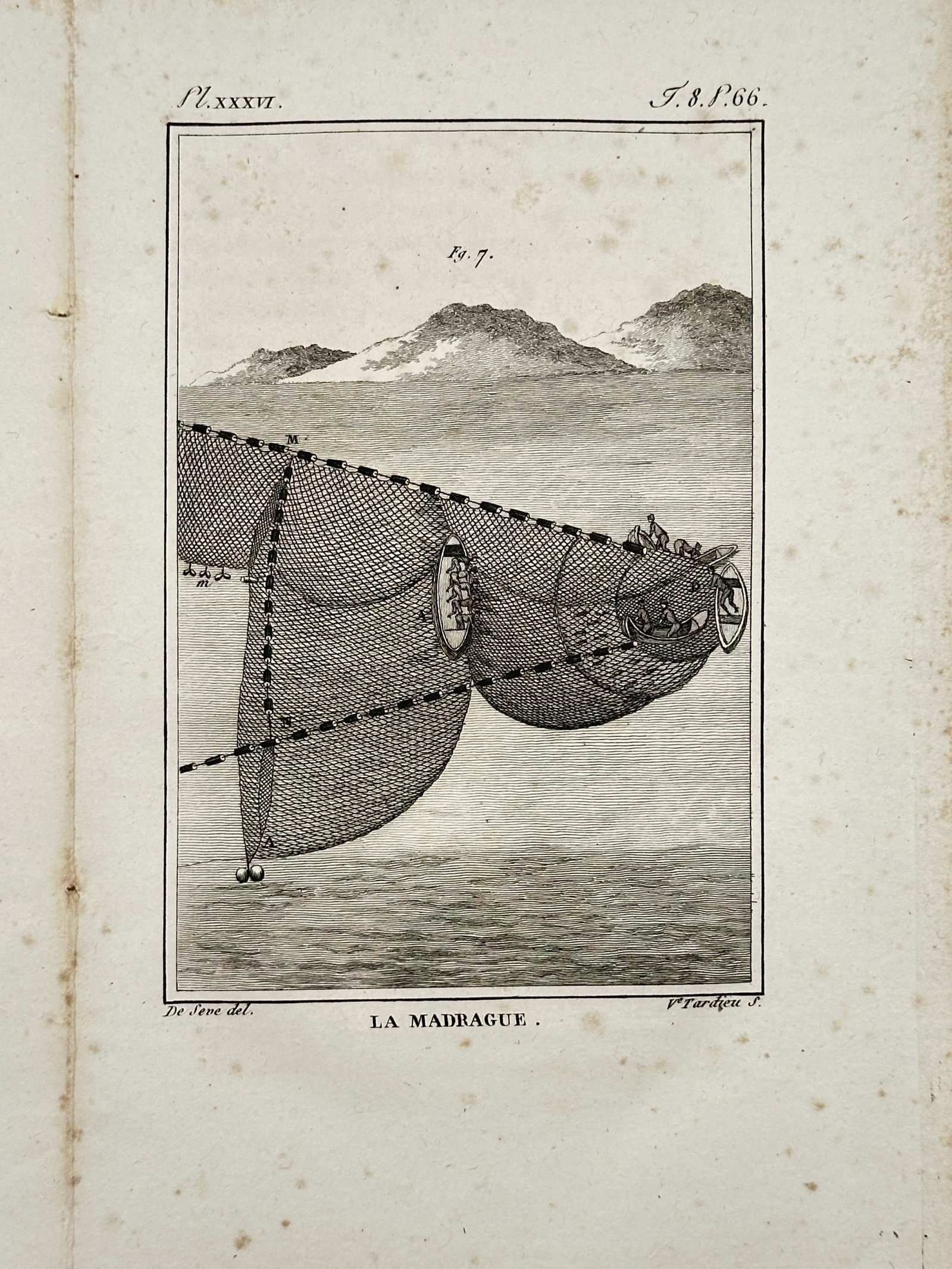 Georges-Louis Leclerc, Comte de Buffon – Marine Study of a Traditional Madrague Fishing Net (1 of 2)
