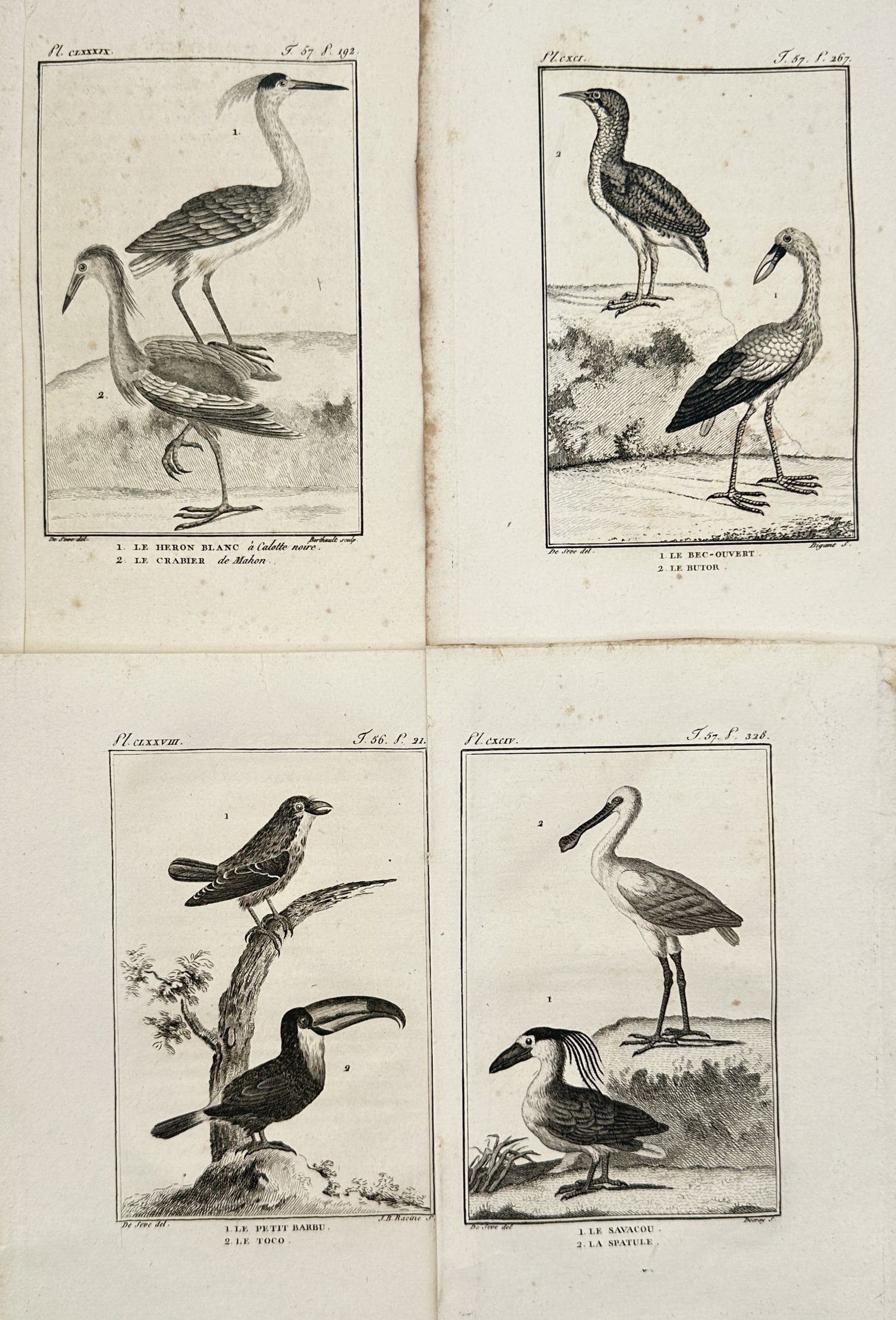 Georges-Louis Leclerc, Comte de Buffon – Set of 4: Ornithological Studies of Exotic and Wading (1 of 2)