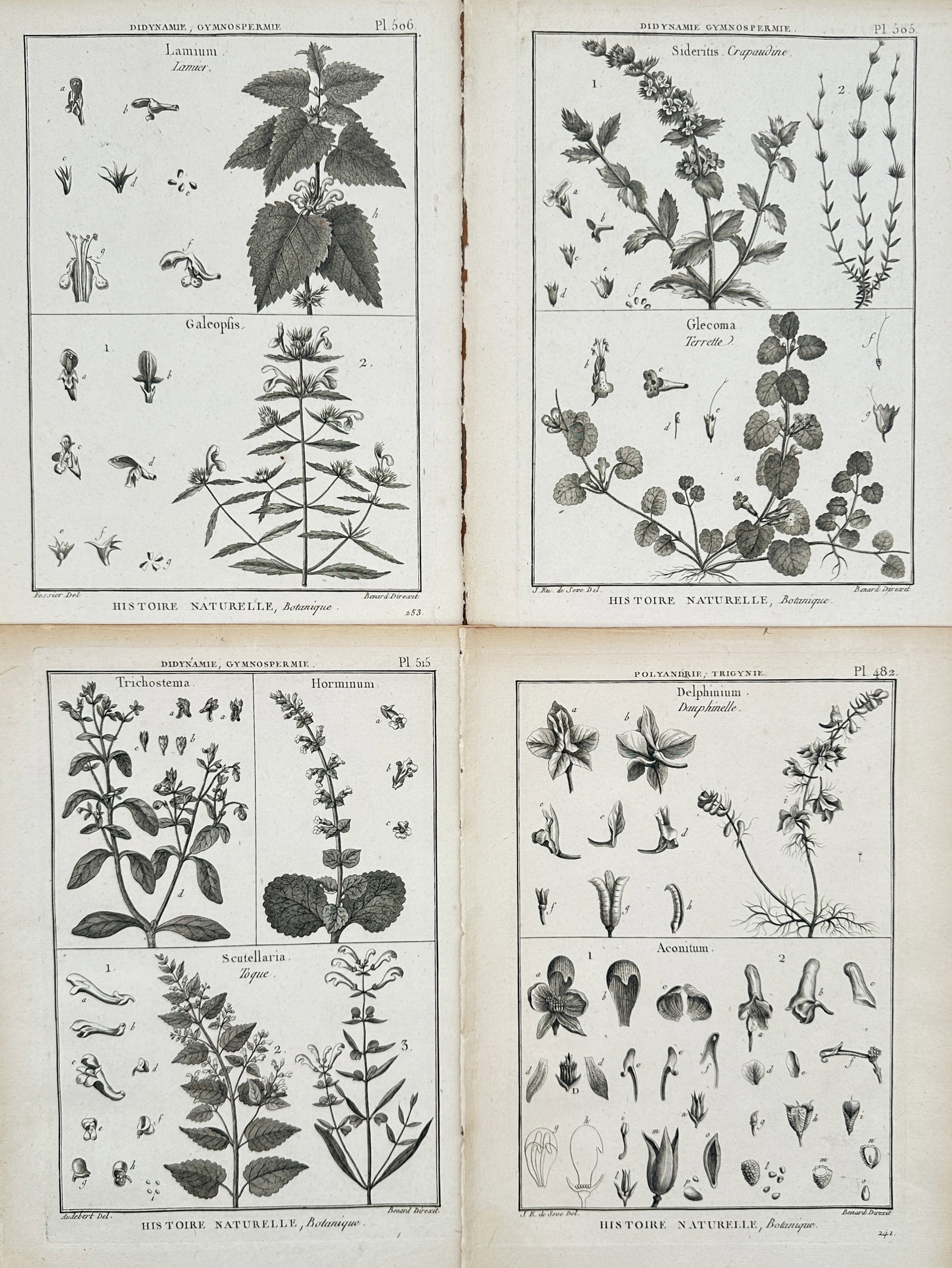 Robert Bénard – Set of 4: Botanical Studies of Flowering Plants and Herbs – Engravings: "Natural History, Botany" depicts a broad overview of diverse wild plant species, flowering herbs, detailed leaf structures, and dissected floral components across a series of scientific reference pla