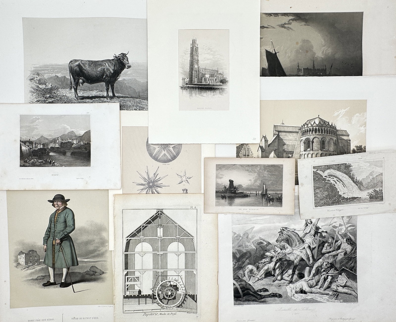 Different Authors – Set of 11: Eclectic Historical, Architectural, and Natural History Studies (1 of 2)