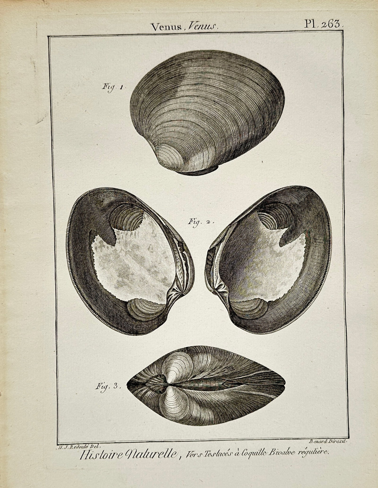 Robert Benard – Venus Clams – Engraving (18th Century) (1 of 2)