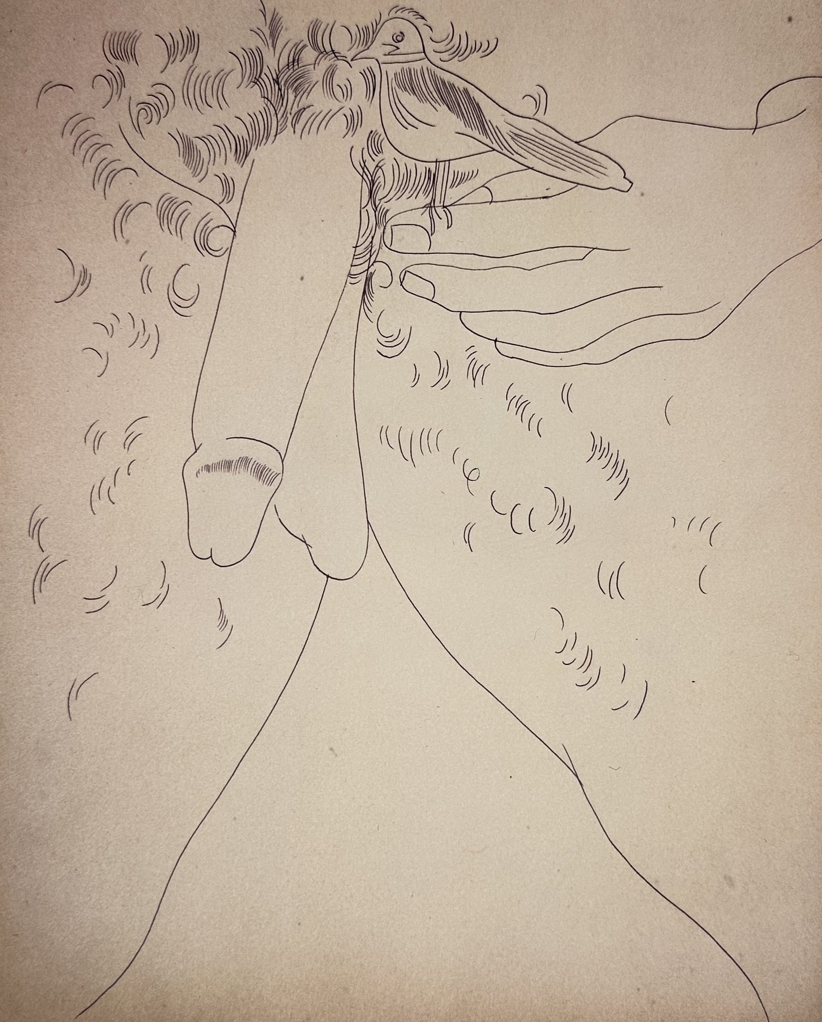 Andy Warhol,after – Torso with Bird and Hand – Offset lithographic reproduction (2006): "Torso with Bird and Hand" This print showcases a minimalist contour line drawing depicting a male lower torso, an erect penis, a resting hand, and a small bird nestled within the subject's pubic hair