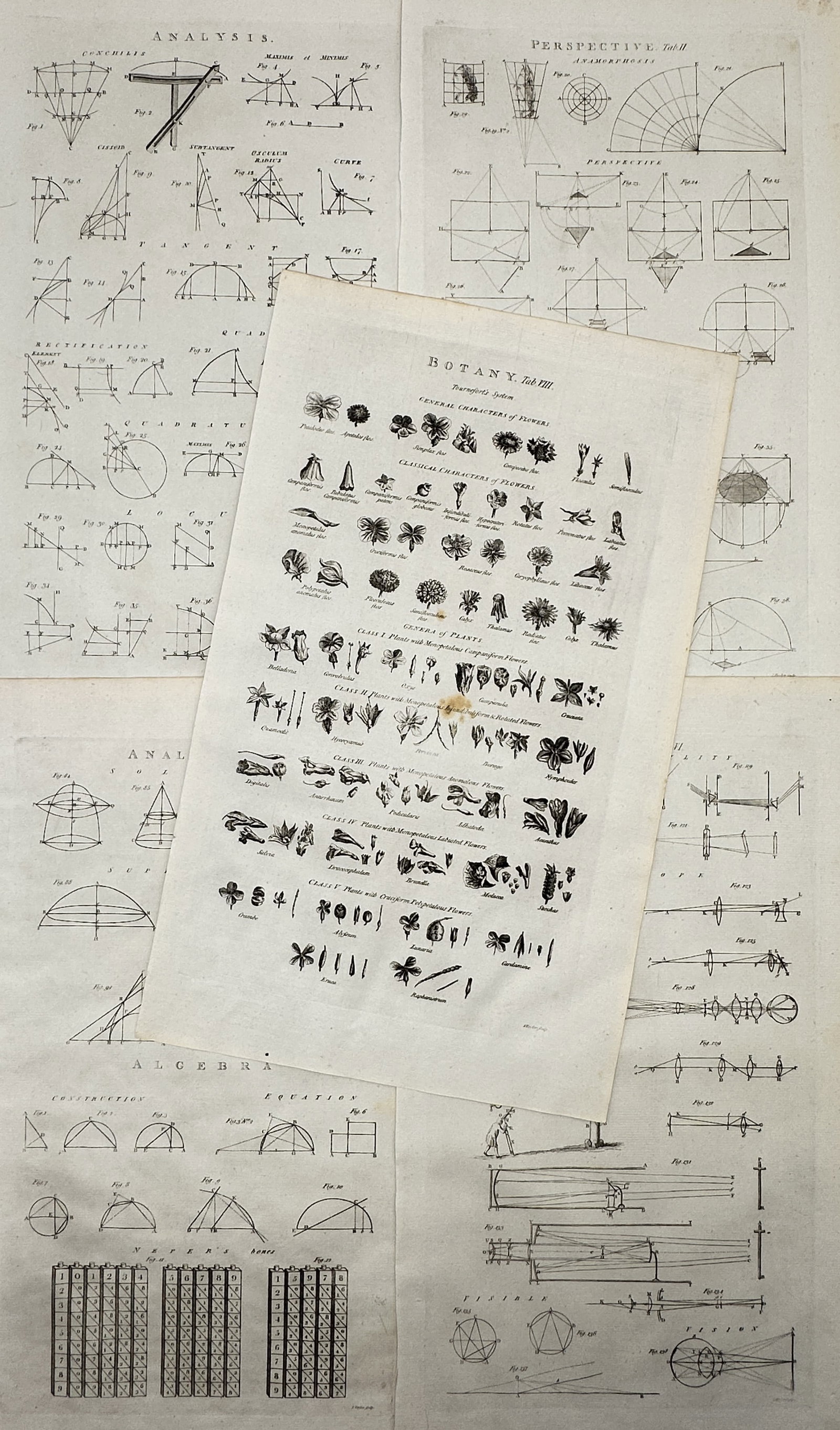 Isaac Taylor – Set of 5: Scientific, Mathematical, and Botanical Studies – Engravings (18th (1 of 2)