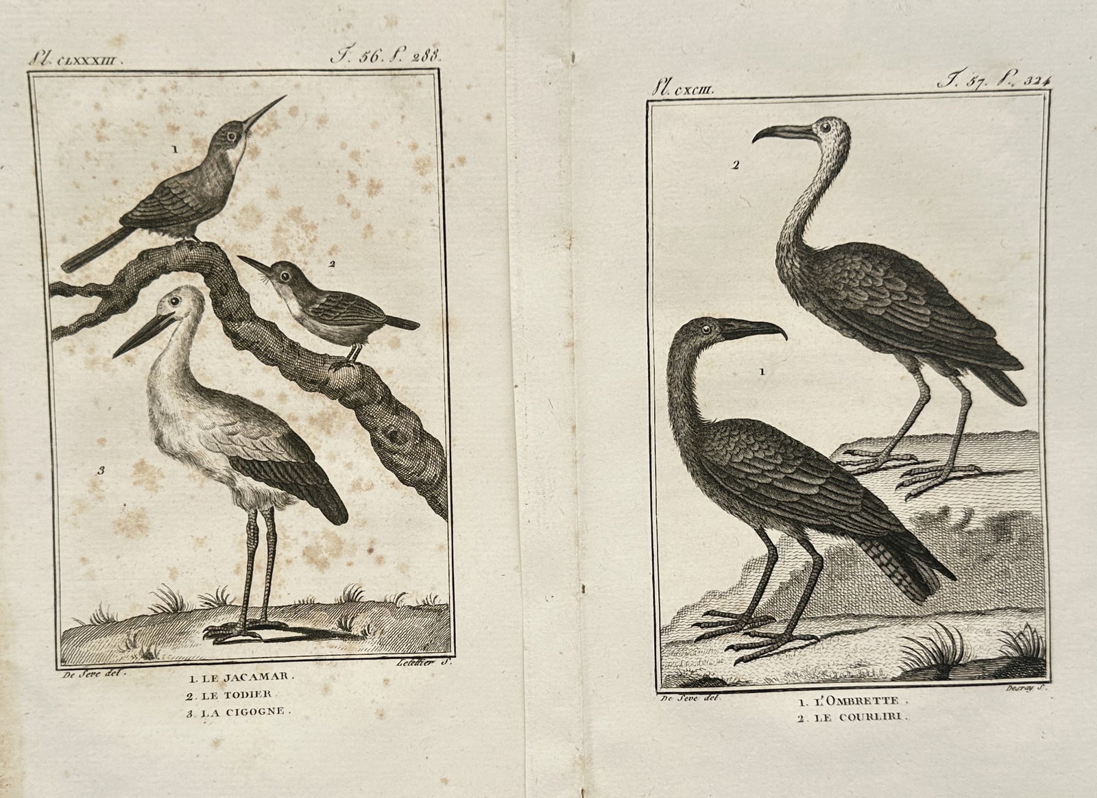 Georges-Louis Leclerc de Buffon – Set of 2: Ornithological Studies of Wading and Birds – (1 of 2)