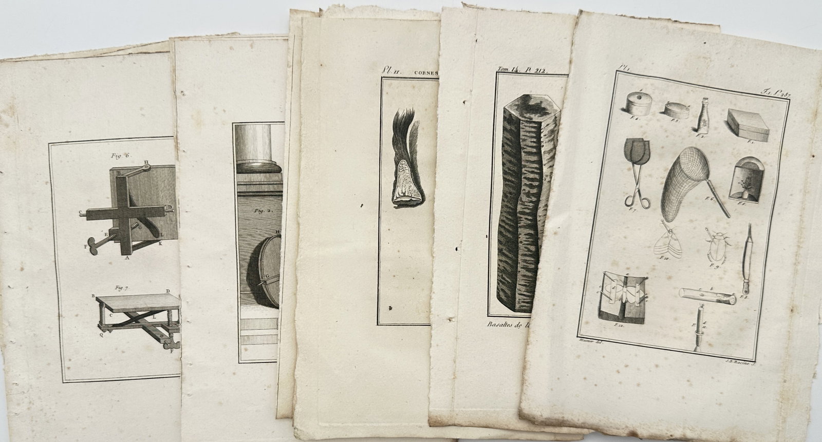 Georges-Louis Leclerc de Buffon – Set of approx. 8: Studies in Natural Philosophy – Engravings (1 of 2)